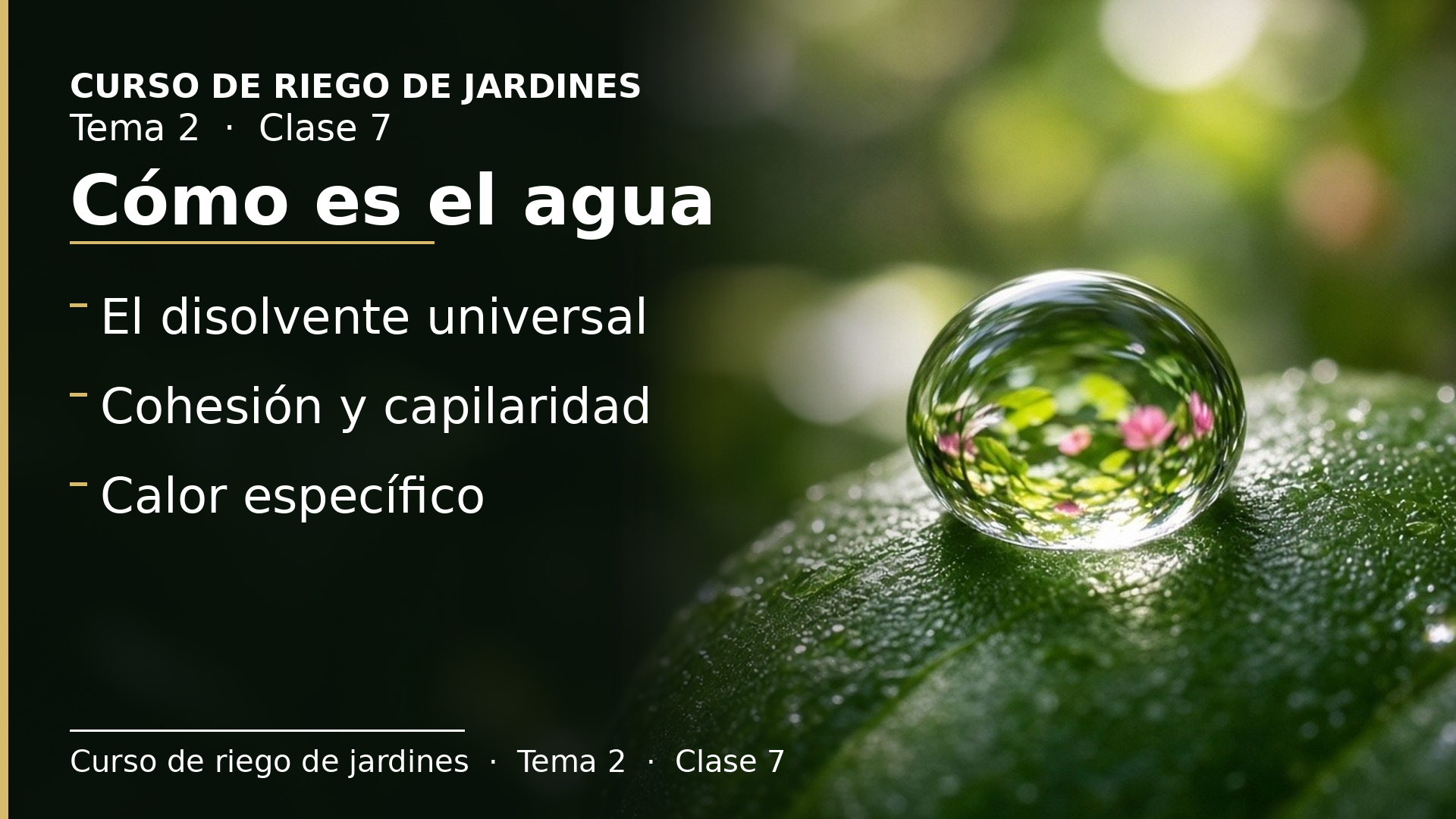 Diapositiva de la clase 7: Conociendo el agua: propiedades físicas y químicas