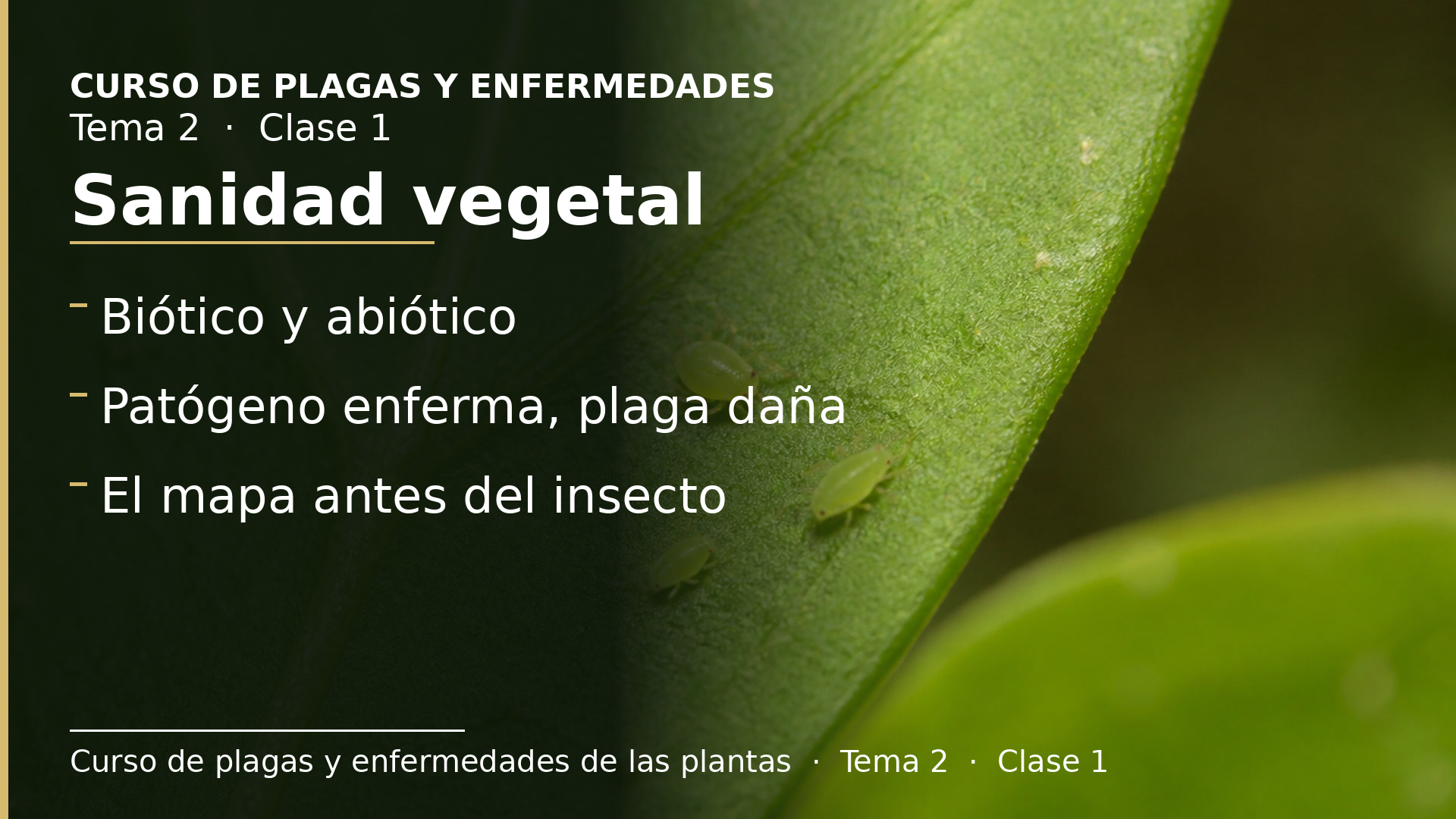 Diapositiva de la clase 1: Sanidad vegetal