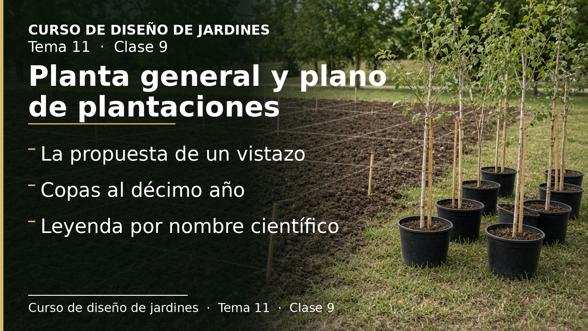 Diapositiva de la clase 9: La planta general y el plano de plantaciones