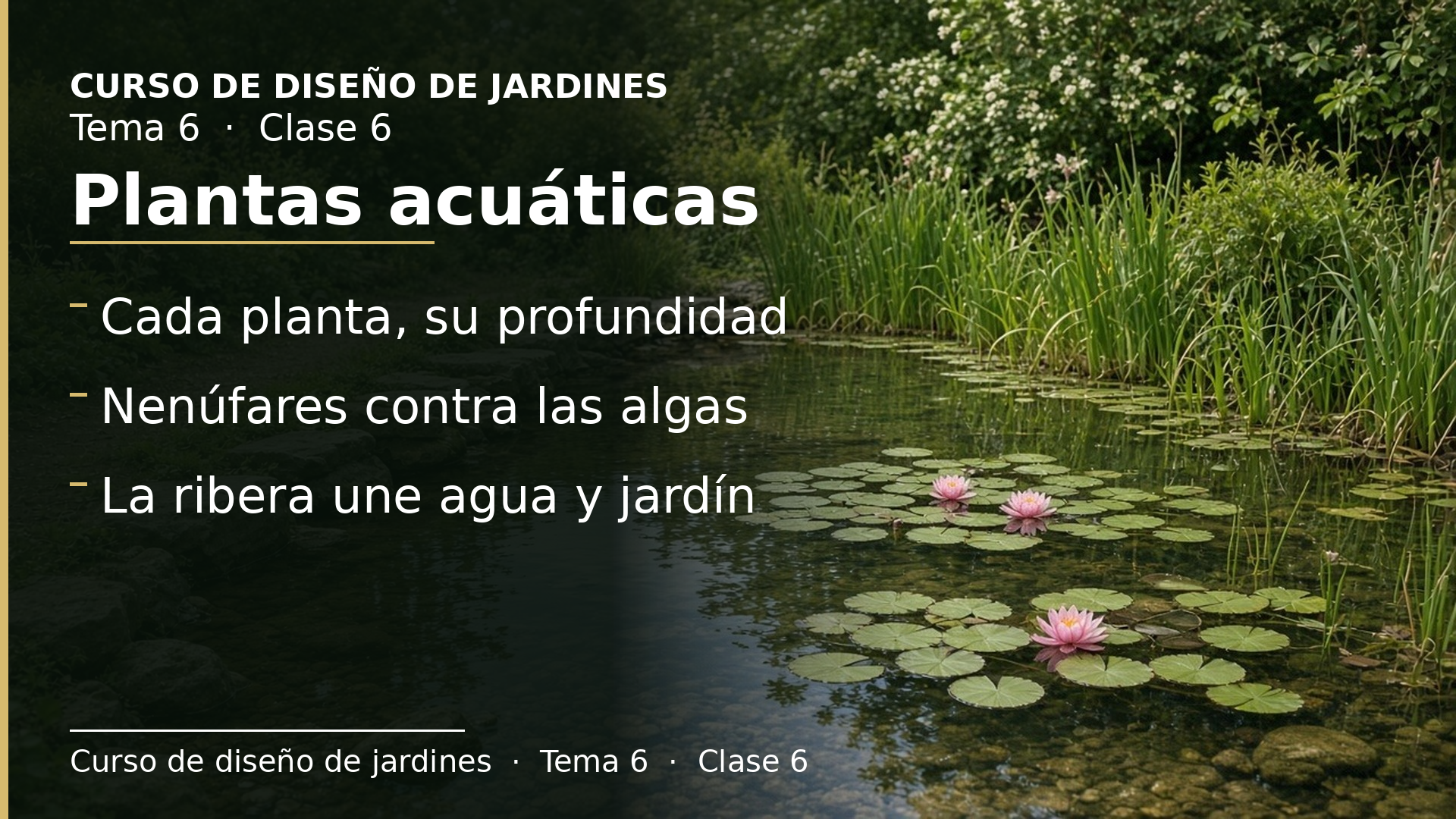 Diapositiva de la clase 6: Plantas acuáticas: flotantes, emergidas, de aguas profundas, sumergidas y de ribera