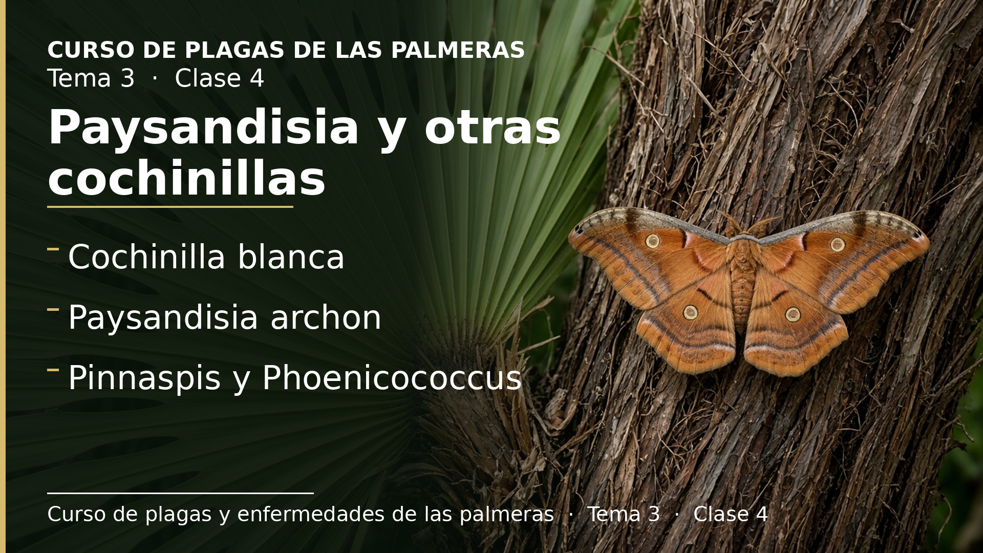 Diapositiva de la clase 4: La oruga barrenadora Paysandisia y otras cochinillas