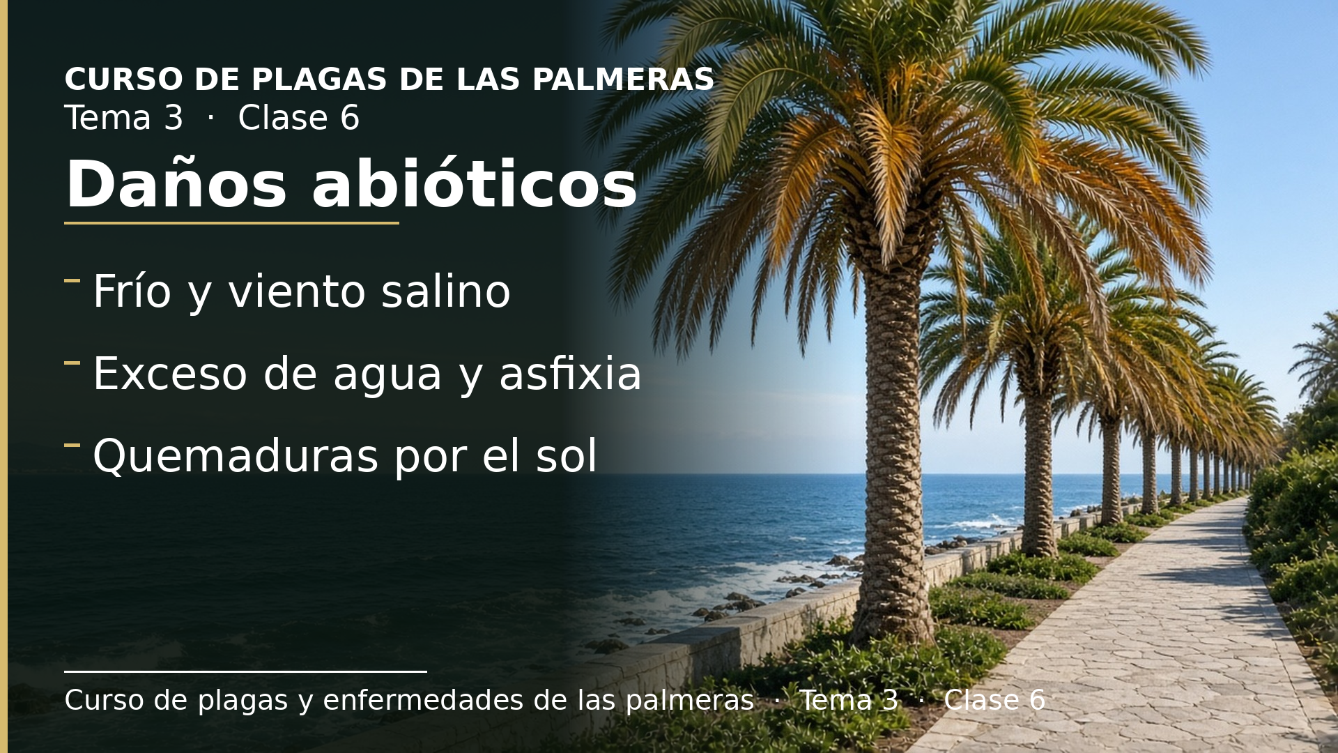 Diapositiva de la clase 6: Daños abióticos: frío, sal, exceso de agua, asfixia y sol