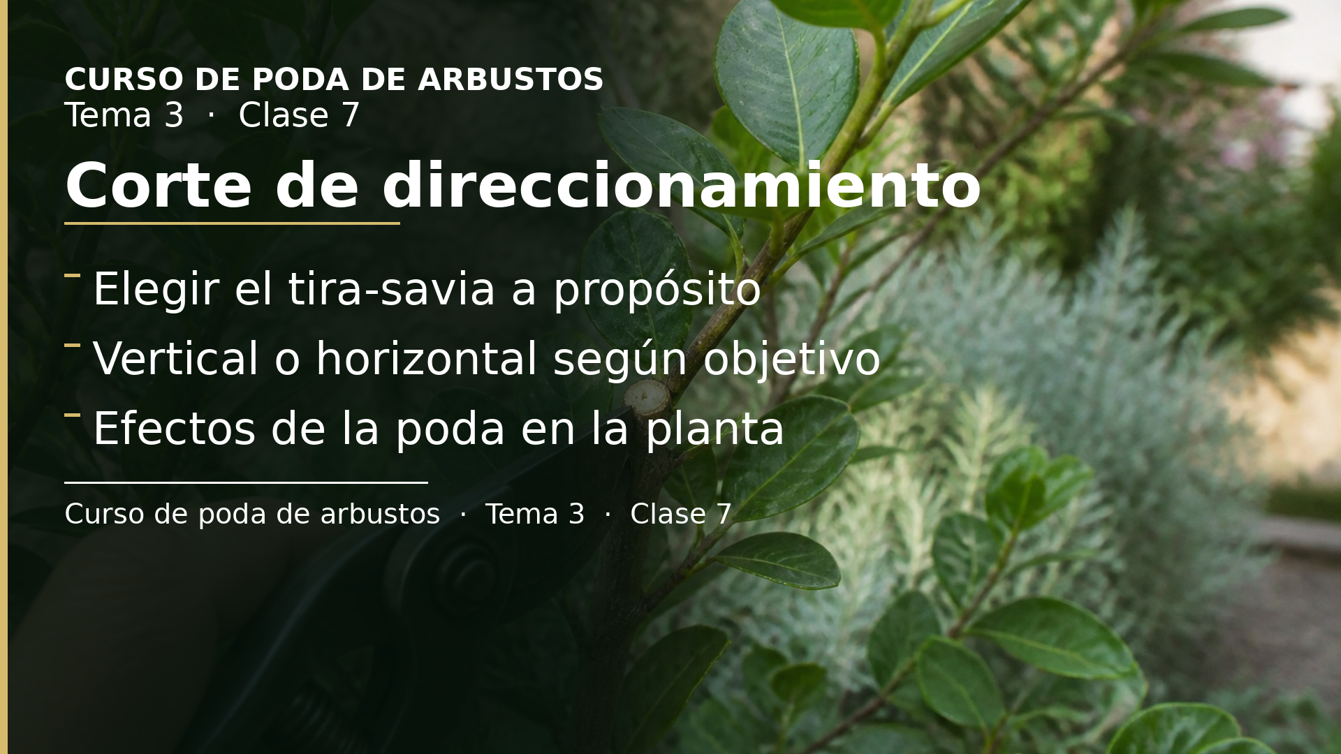 Diapositiva de la clase 7: Corte de direccionamiento