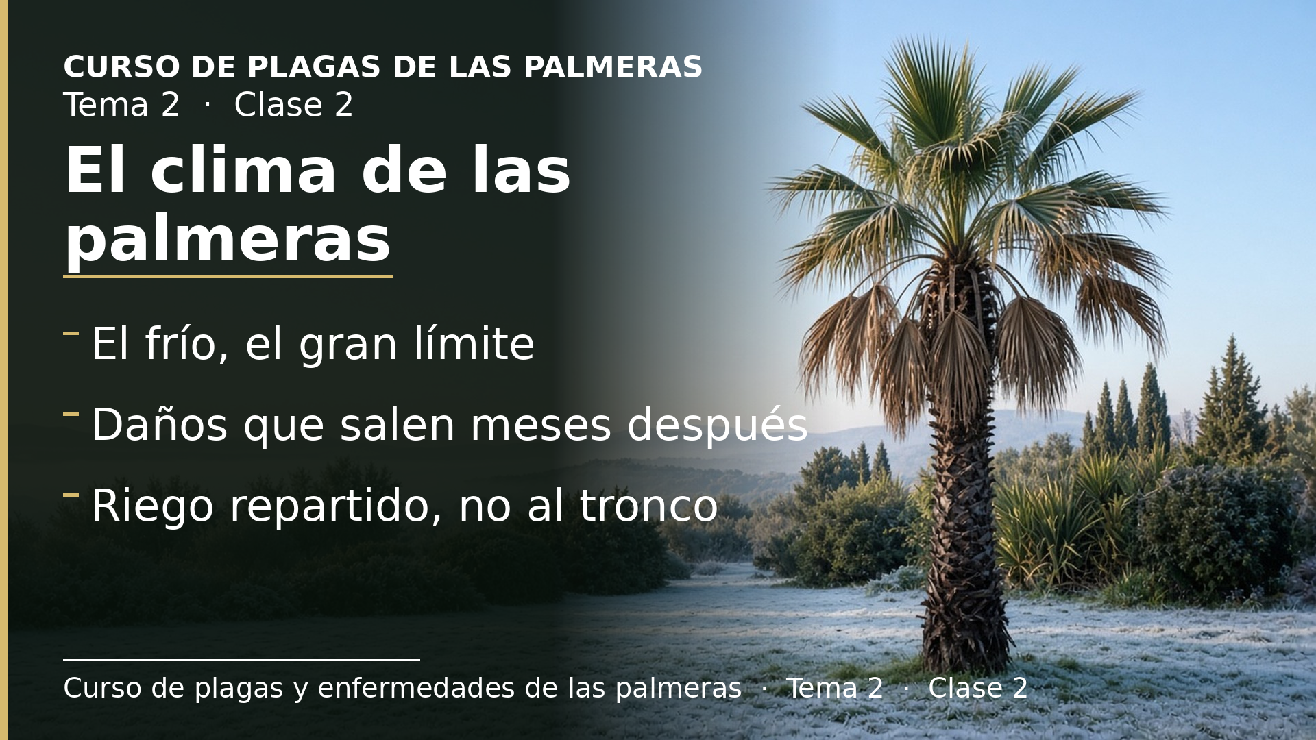 Diapositiva de la clase 2: Frío, viento, sol y agua: el clima que piden las palmeras