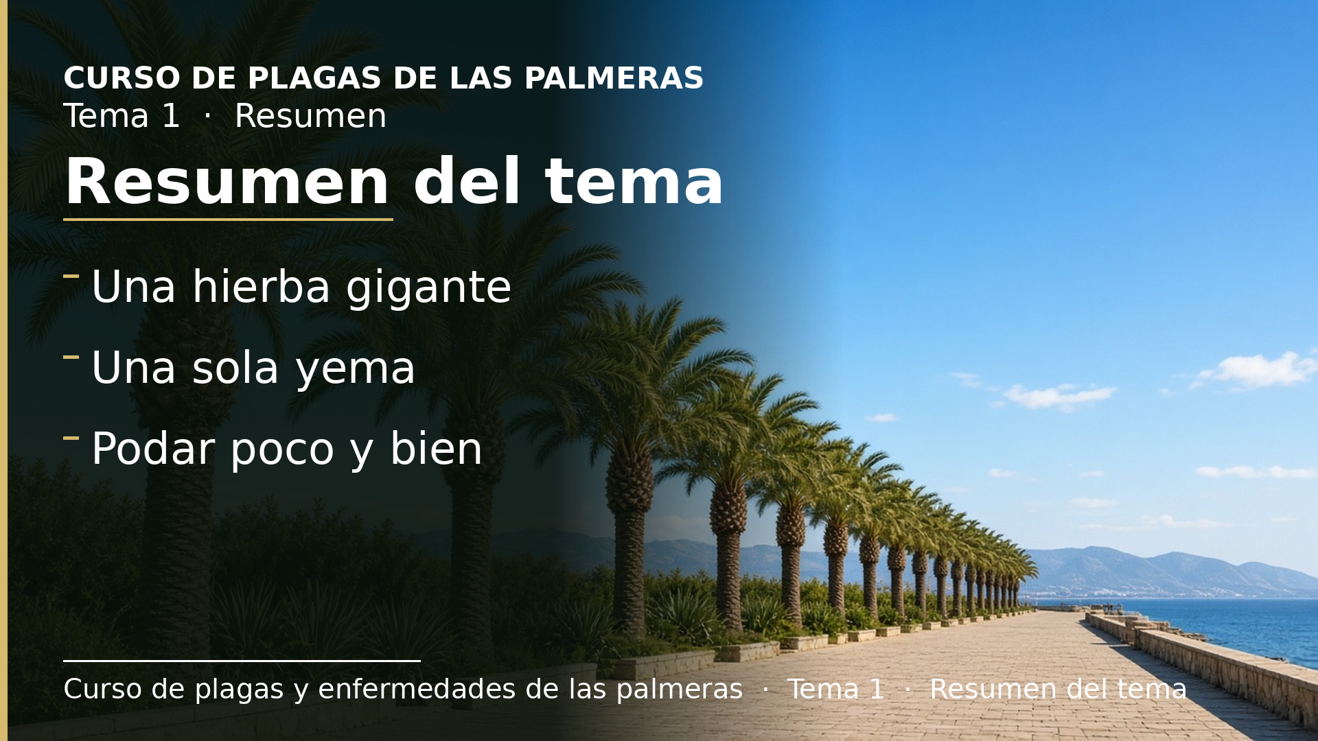 Diapositiva del resumen: Resumen del tema