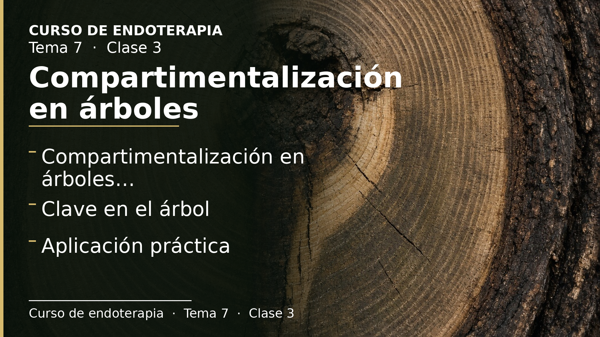 Diapositiva de la clase 3: Compartimentalización en árboles