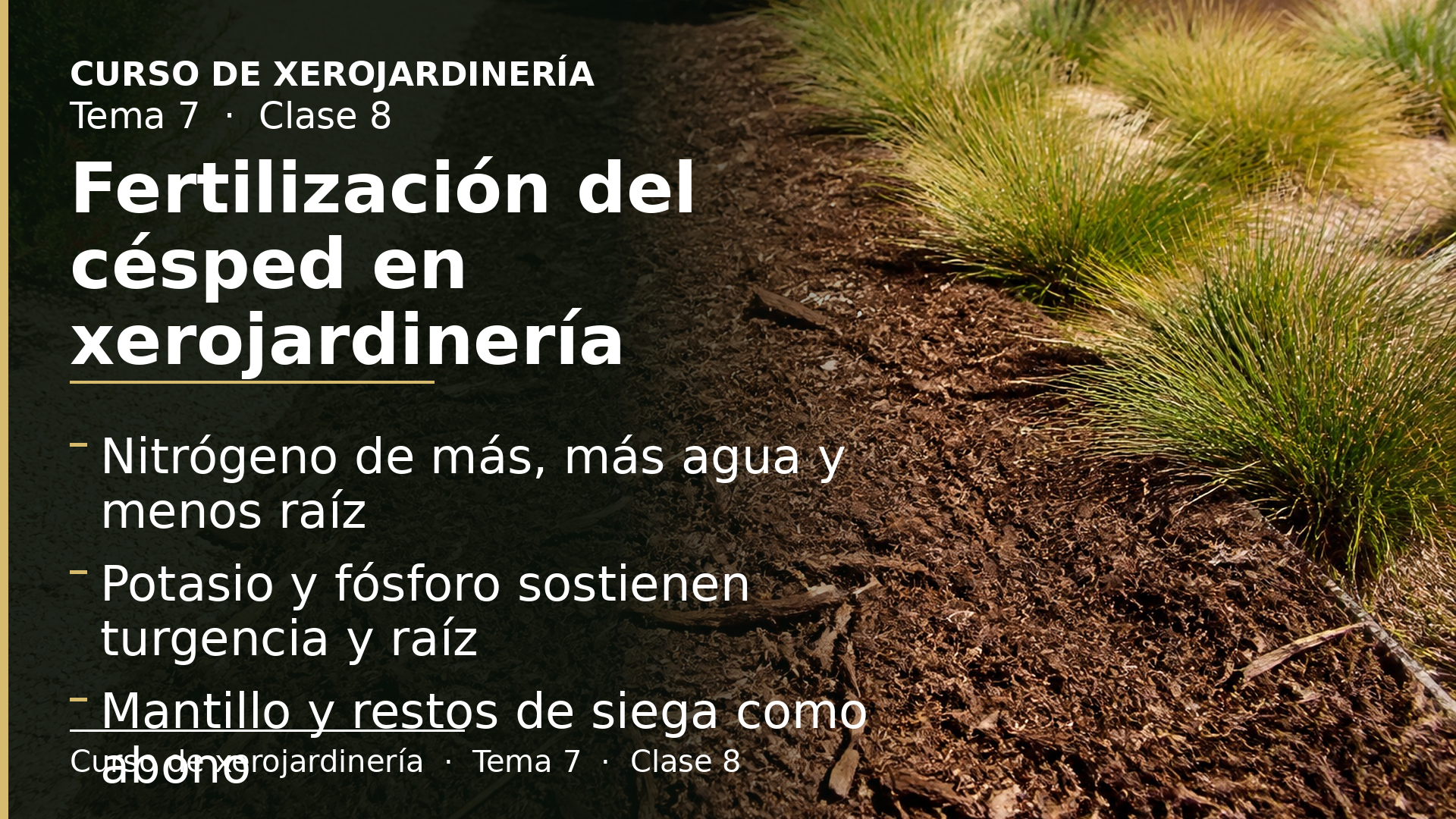 Diapositiva de la clase 8: Fertilización del césped en xerojardinería