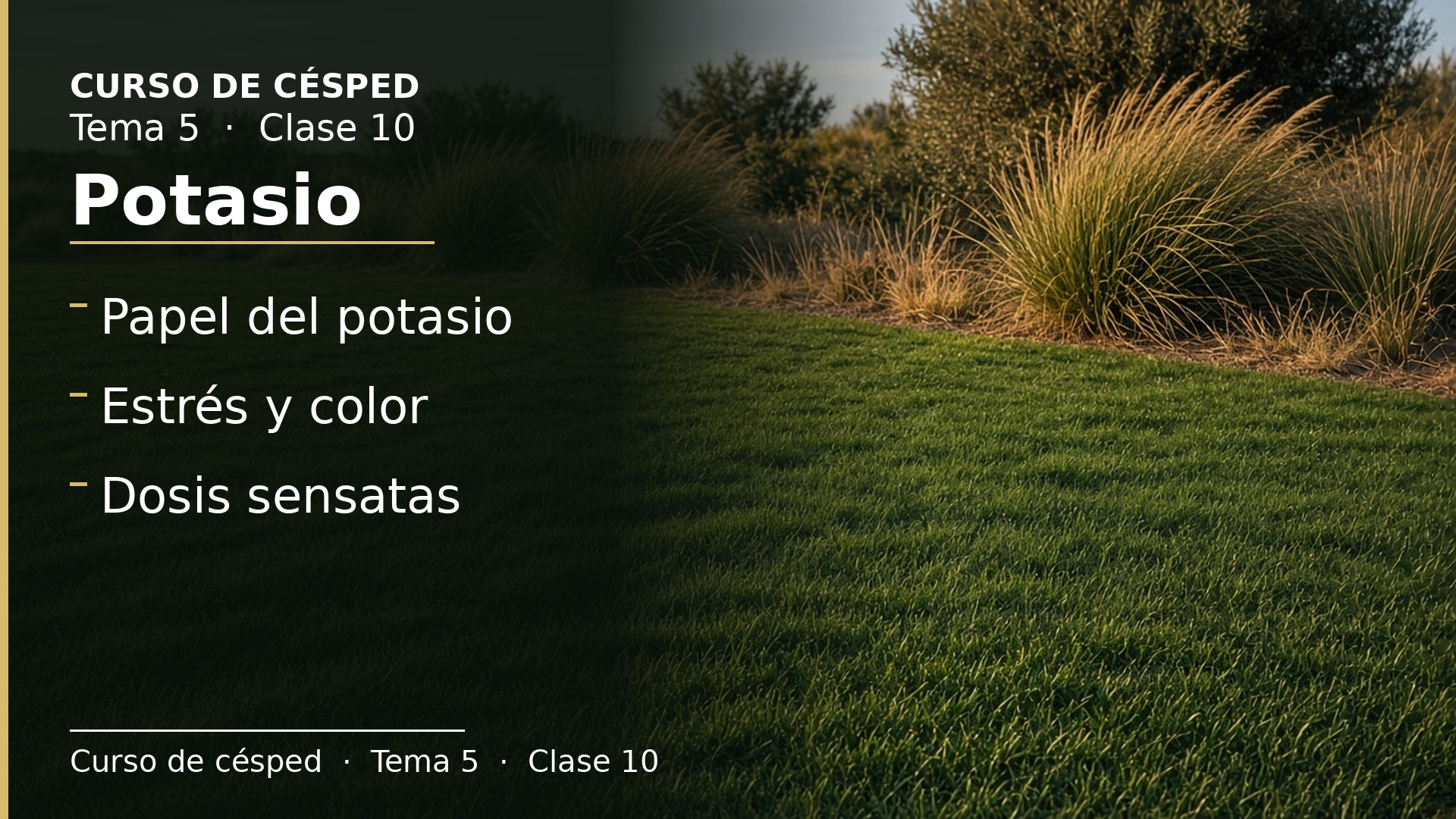Diapositiva de la clase 10: Potasio