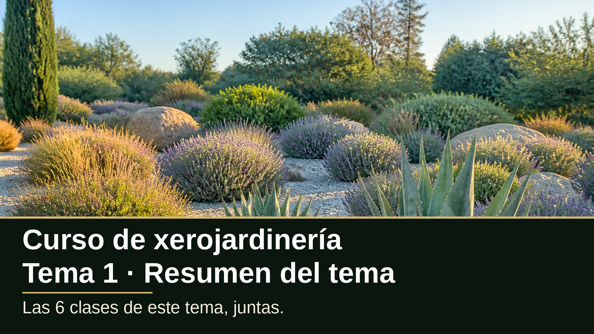 Diapositiva del resumen: Resumen del tema