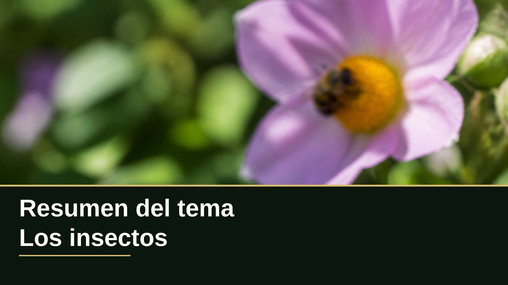 Diapositiva del resumen: Resumen del tema