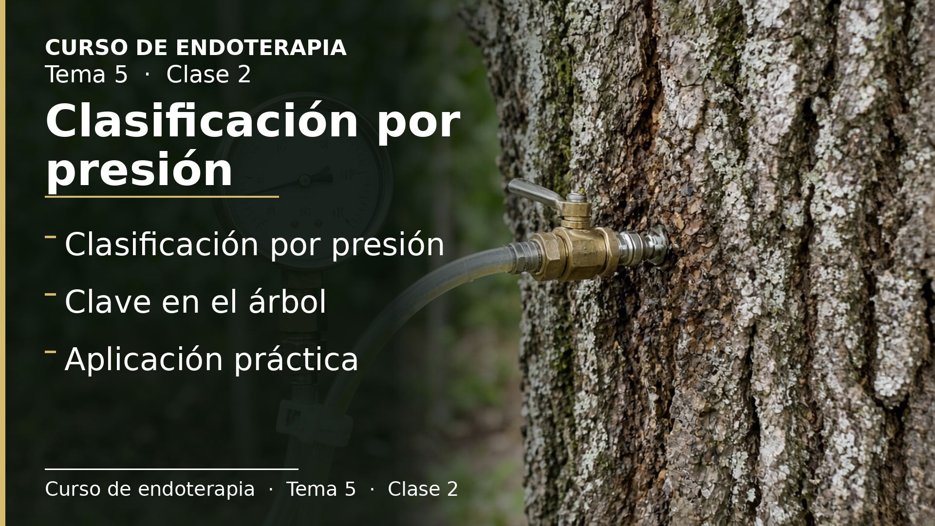 Diapositiva de la clase 2: Clasificación por presión