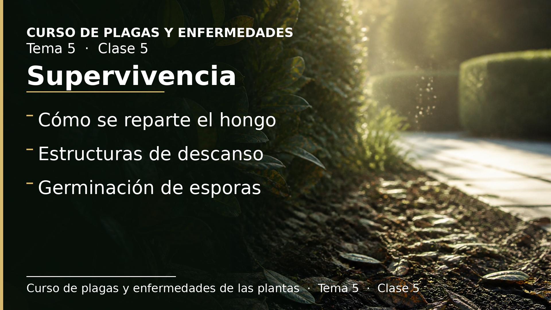 Diapositiva de la clase 5: Distribución y supervivencia