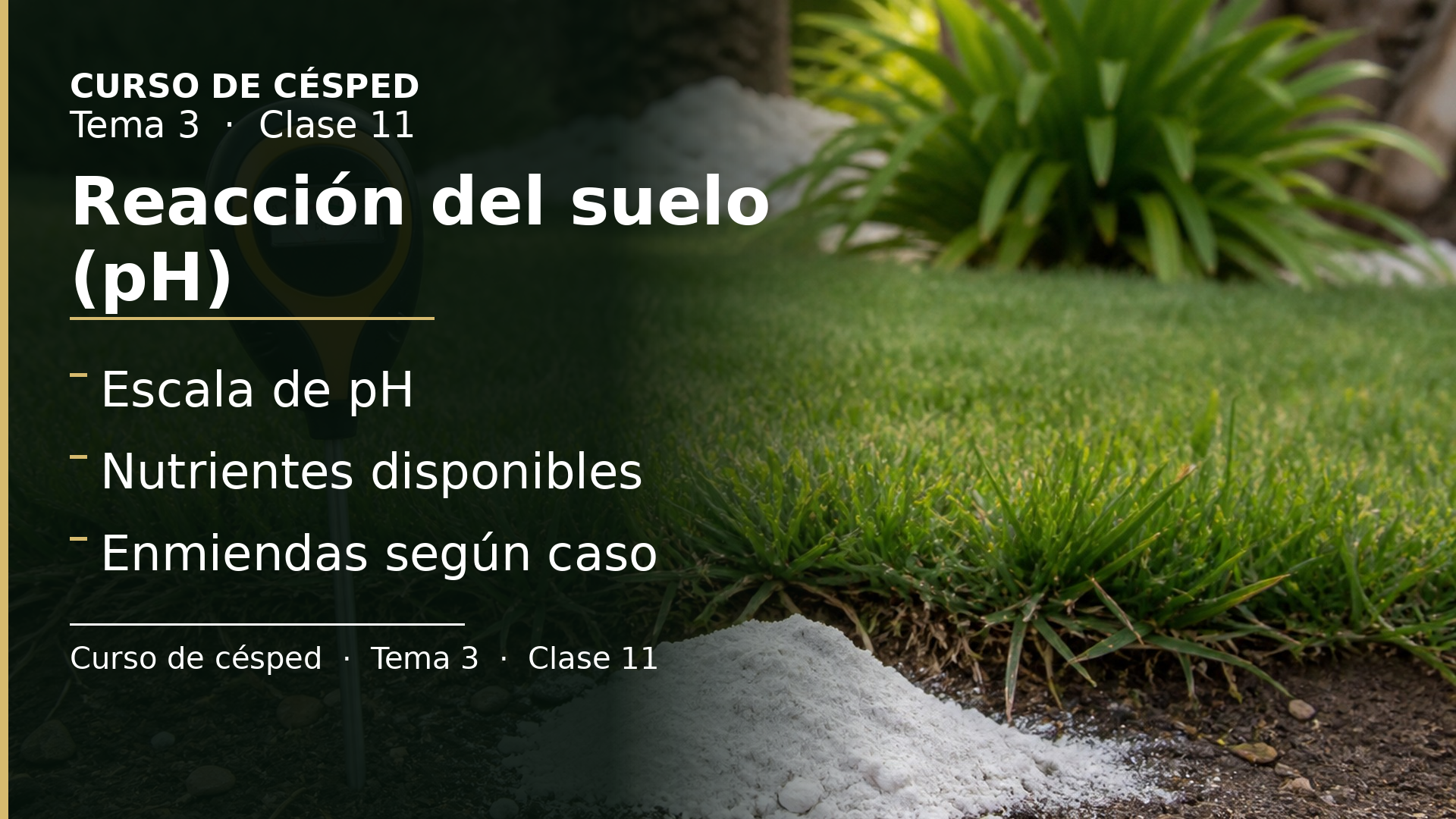 Diapositiva de la clase 11: Reacción del suelo (pH)