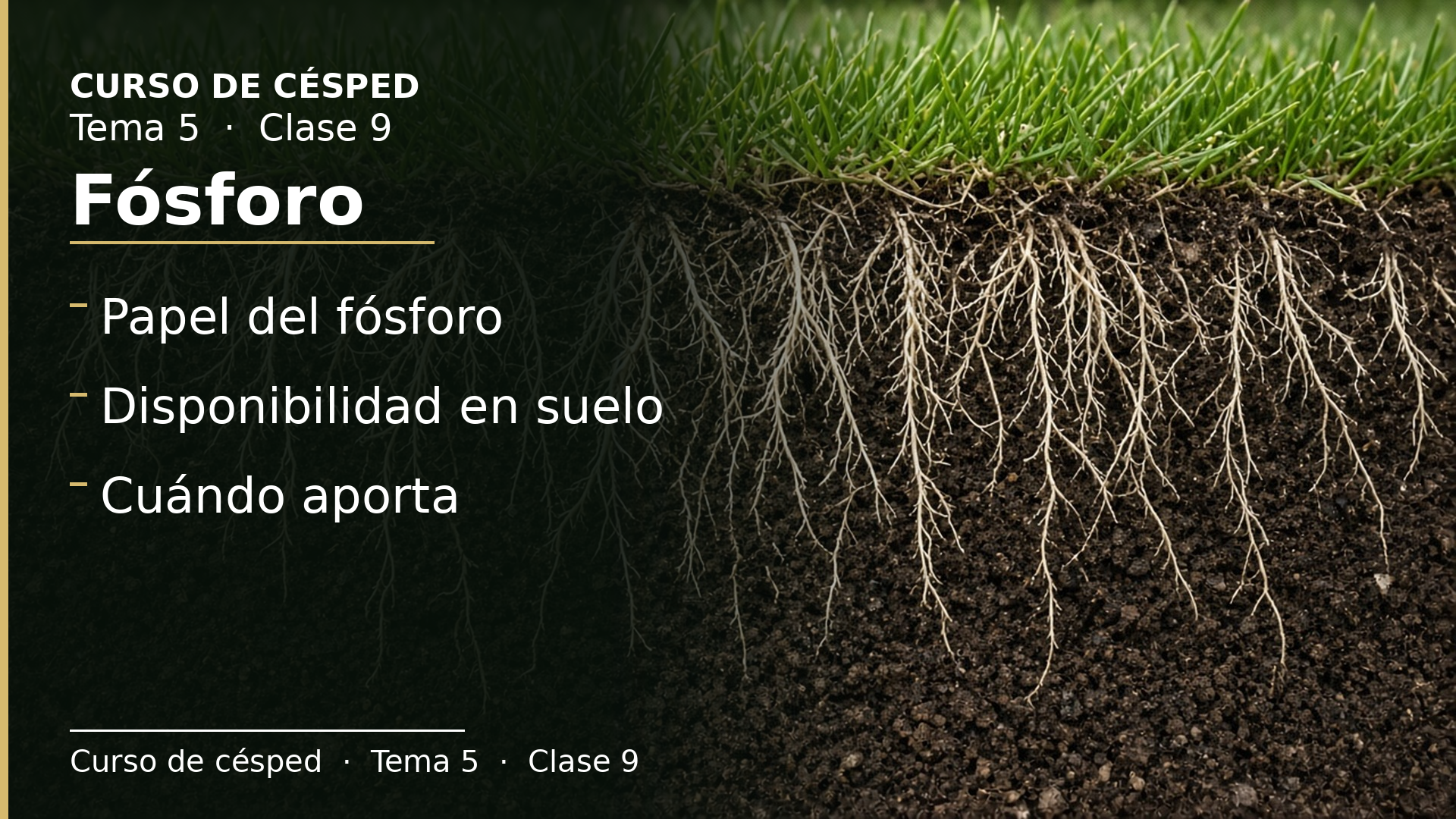 Diapositiva de la clase 9: Fósforo