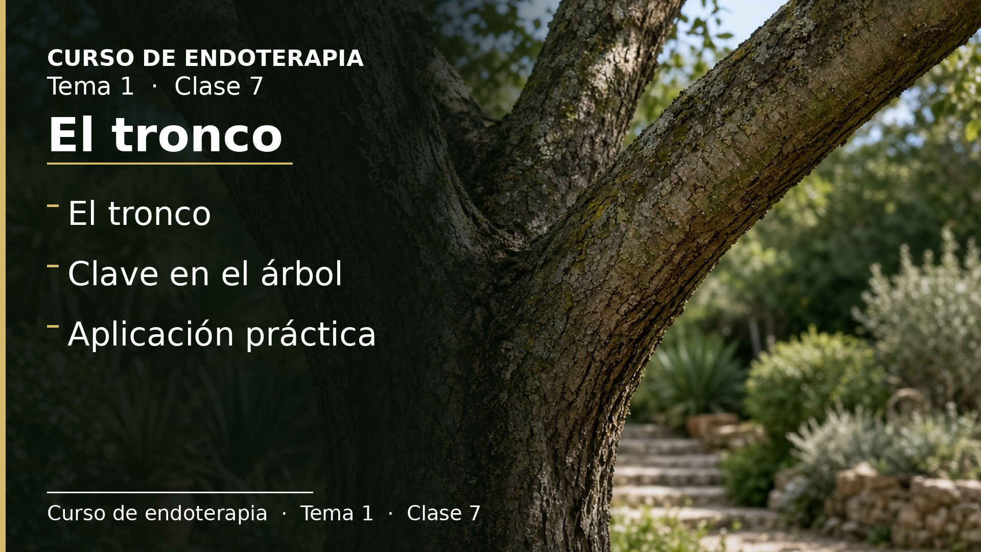 Diapositiva de la clase 7: El tronco