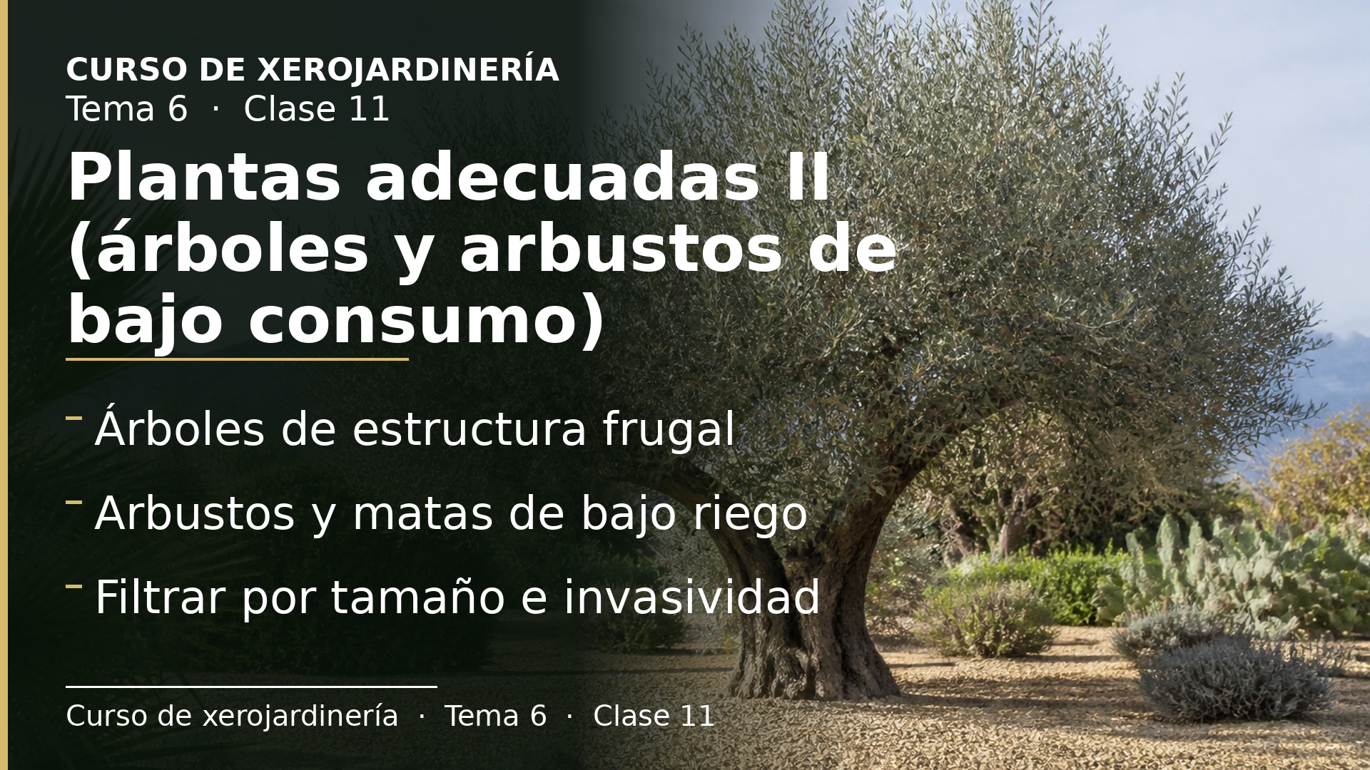 Diapositiva de la clase 11: Plantas adecuadas II (árboles y arbustos de bajo consumo)