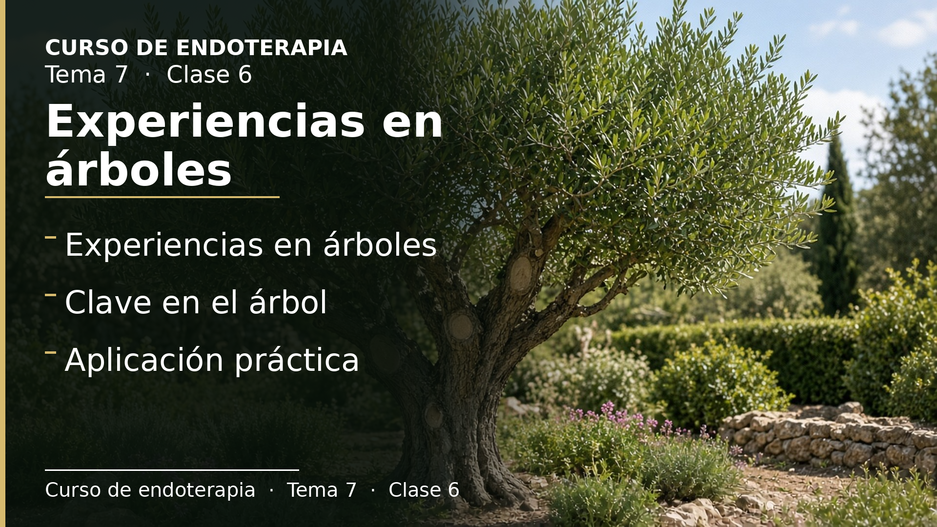 Diapositiva de la clase 6: Experiencias en árboles
