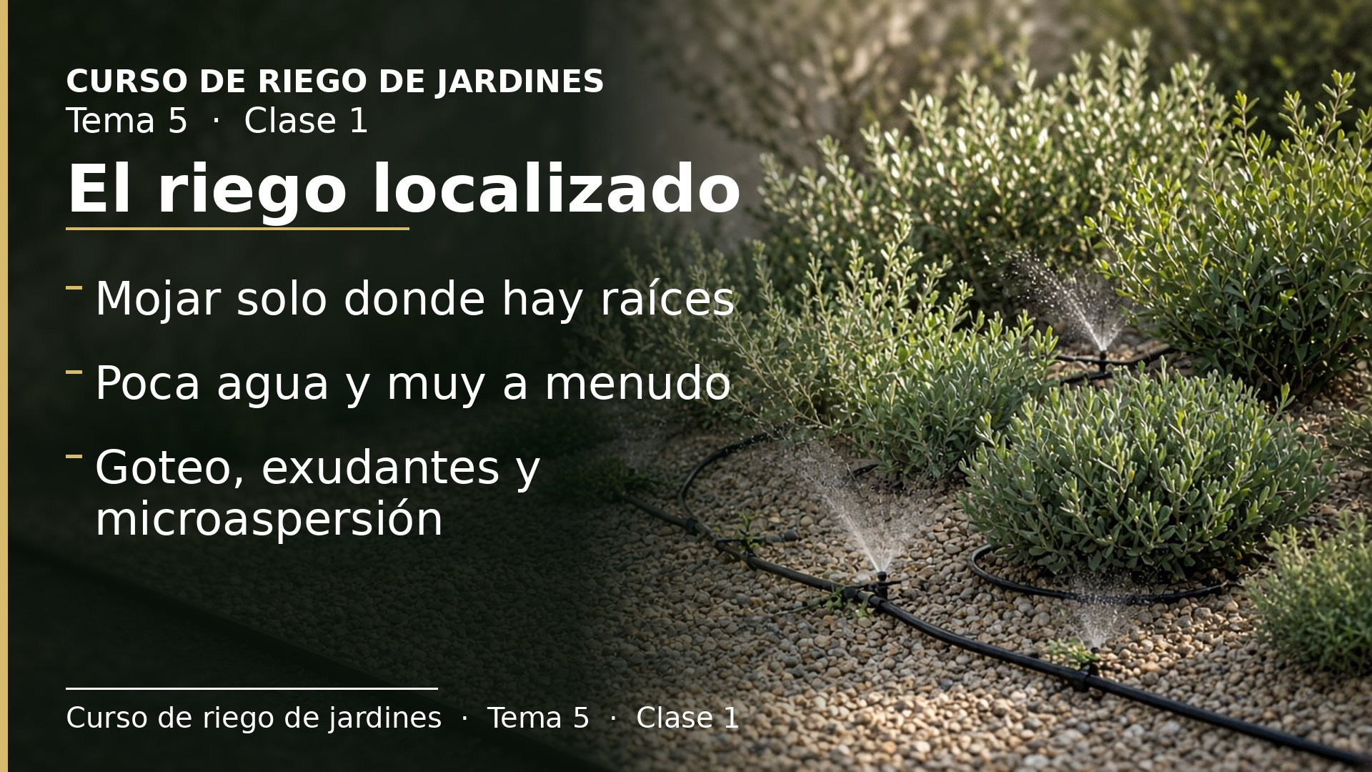 Diapositiva de la clase 1: El riego localizado: ventajas, inconvenientes y tipos