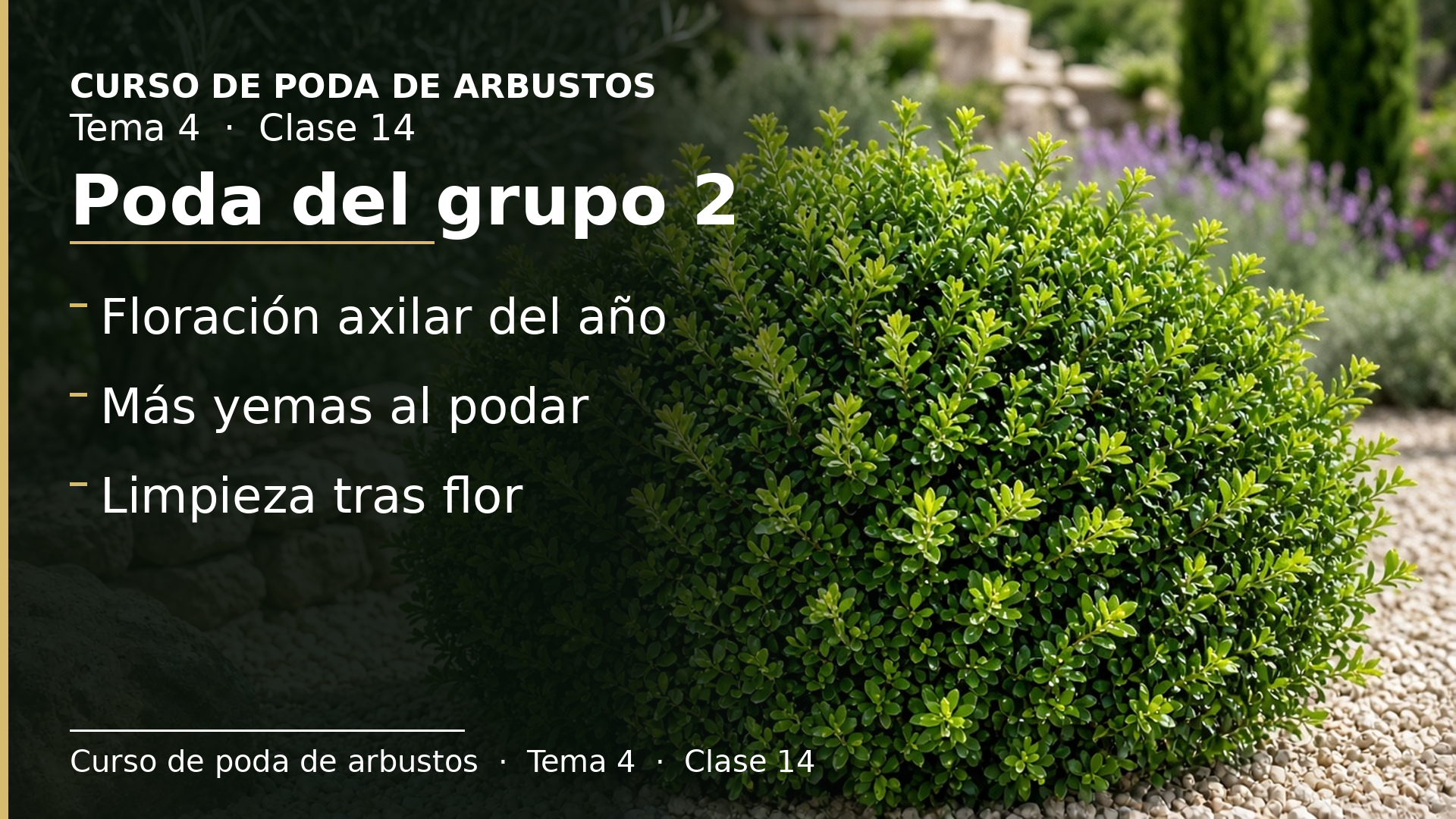 Diapositiva de la clase 14: Poda grupo 2