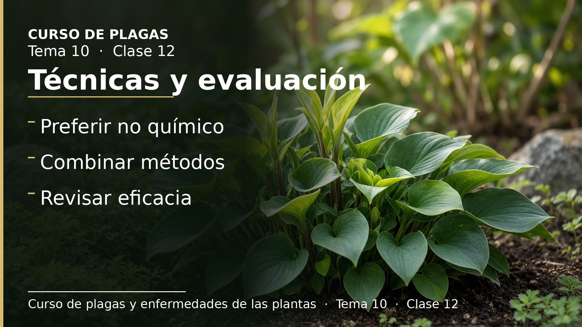 Diapositiva de la clase 12: Elección de técnicas y evaluación de resultados