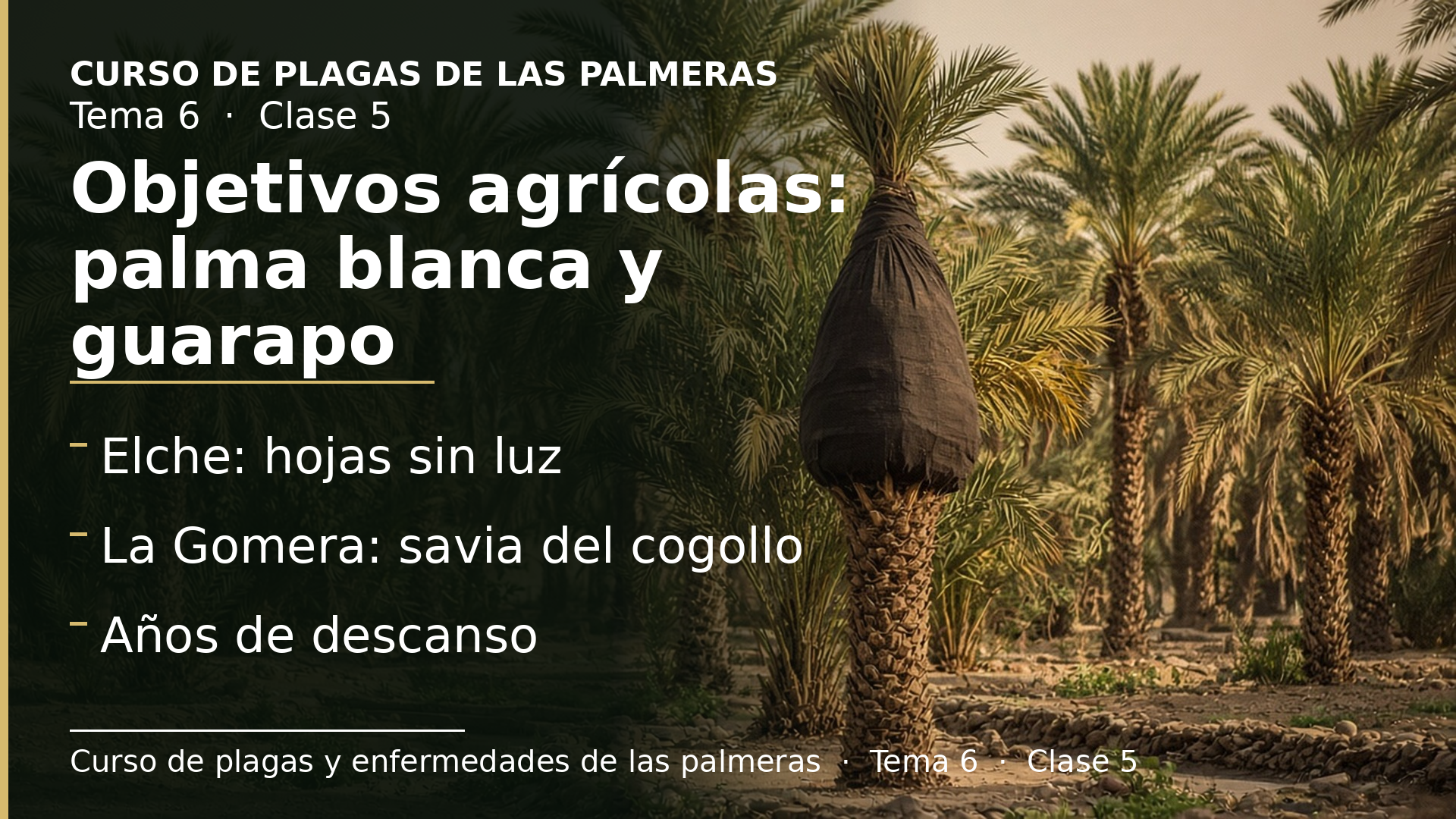 Diapositiva de la clase 5: Objetivos agrícolas de la poda: palma blanca y guarapo