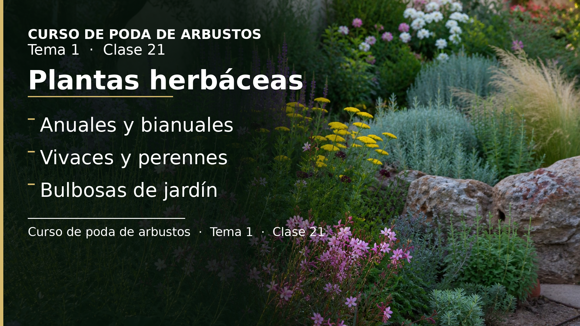 Diapositiva de la clase 21: Plantas herbáceas
