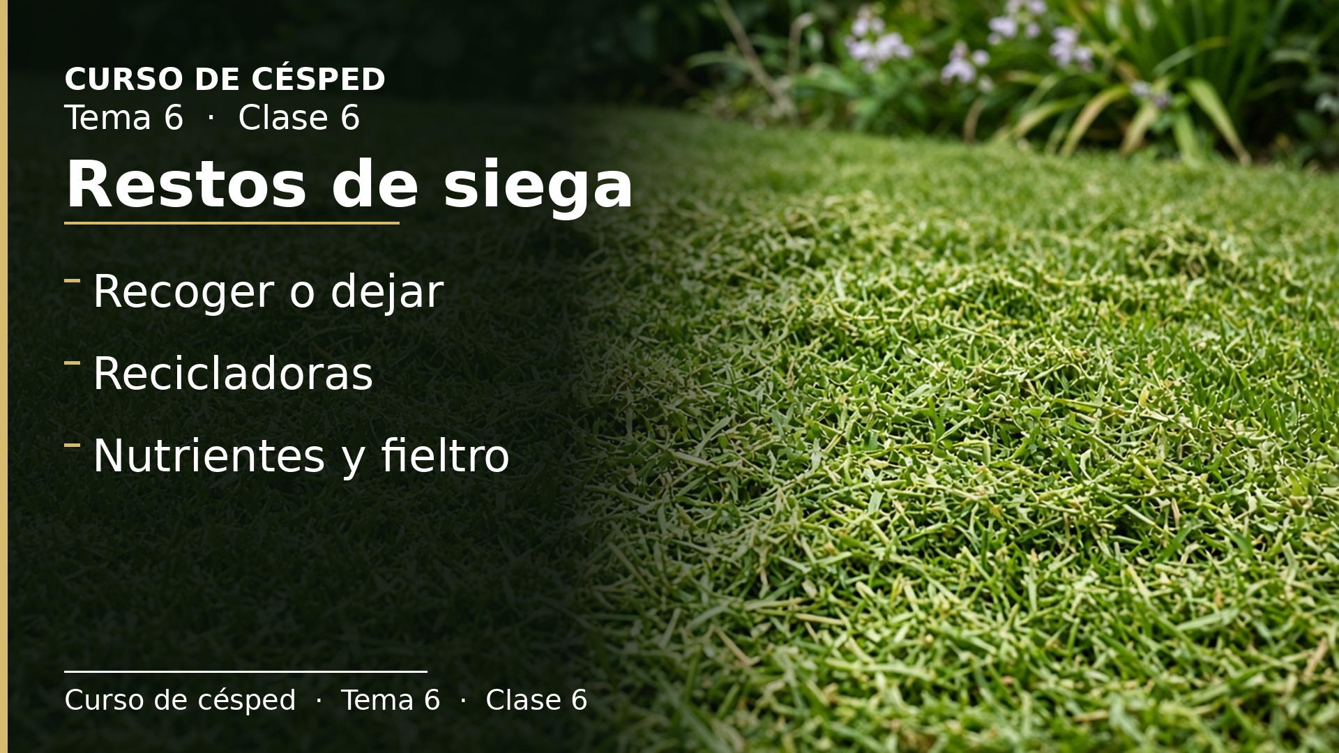Diapositiva de la clase 6: Restos de siega