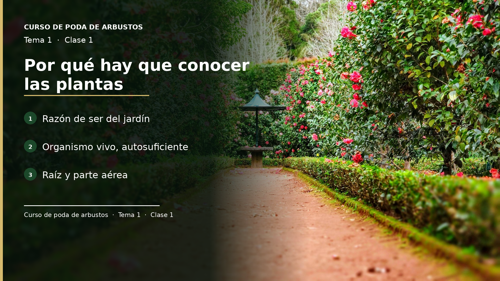 Diapositiva de la clase 1: Por qué hay que conocer las plantas