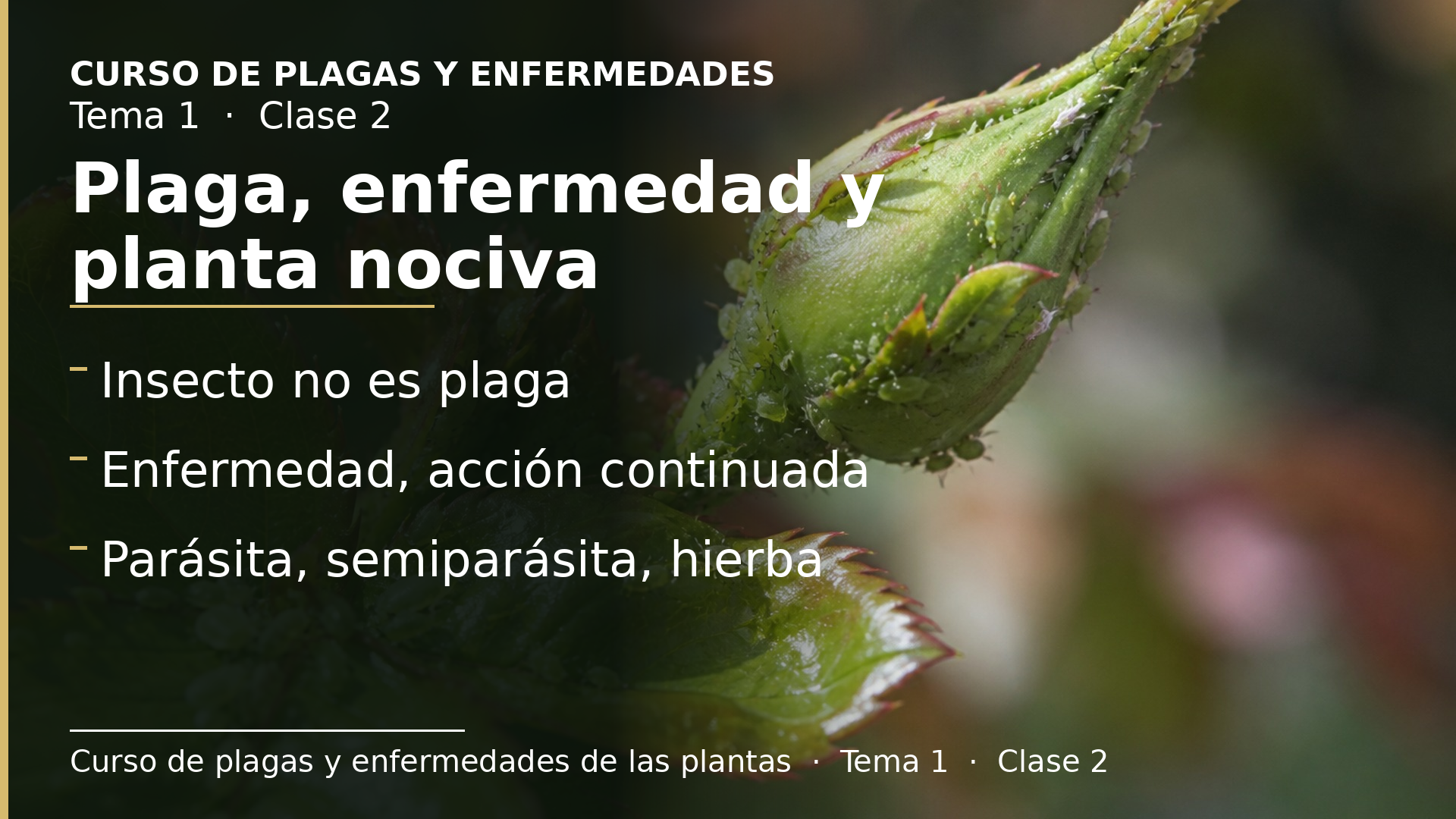 Diapositiva de la clase 2: Plaga, enfermedad y planta nociva