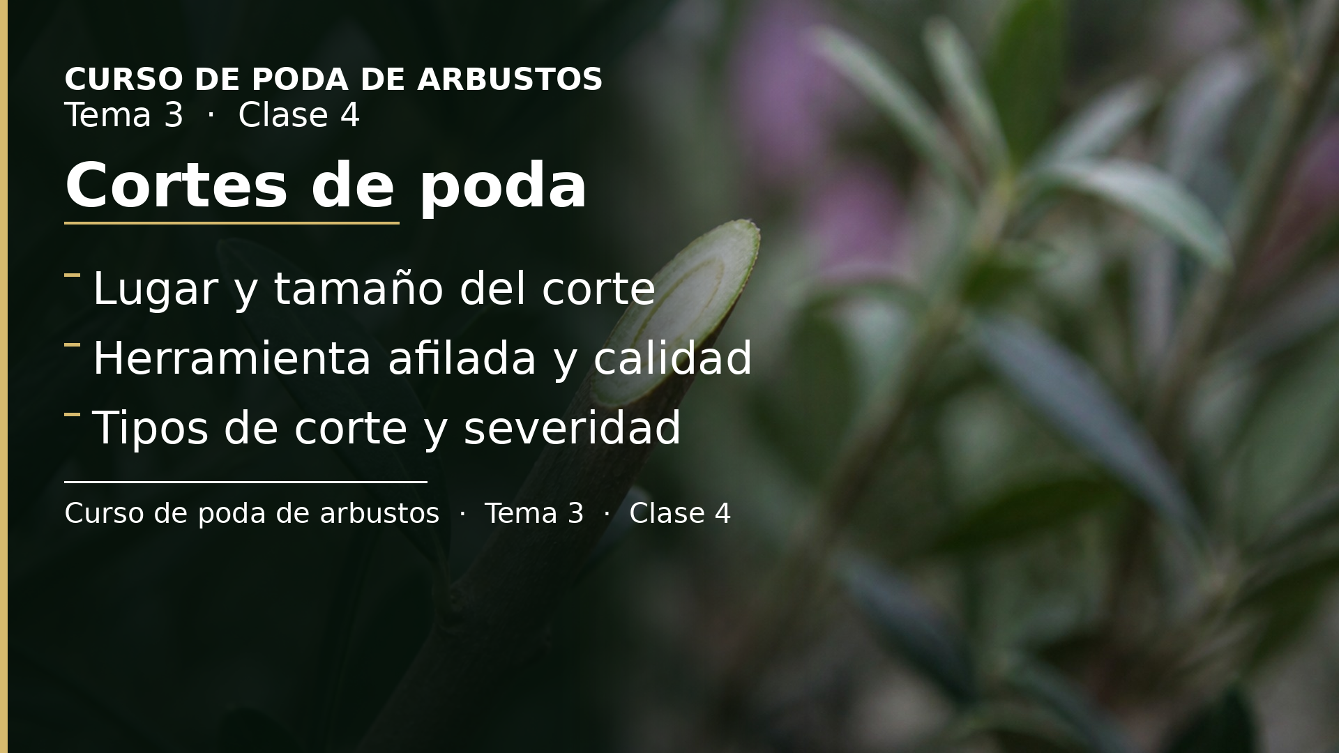 Diapositiva de la clase 4: Cortes de poda