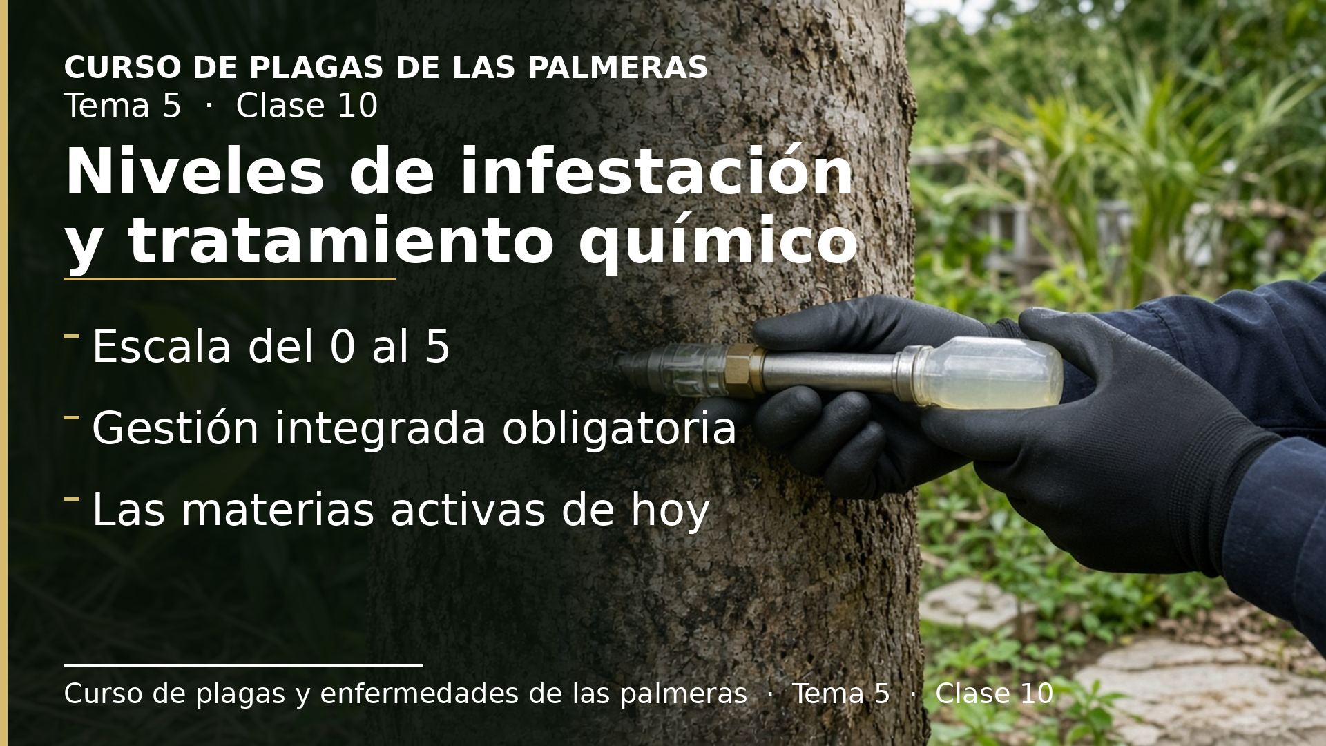 Diapositiva de la clase 10: Niveles de infestación y tratamiento químico curativo