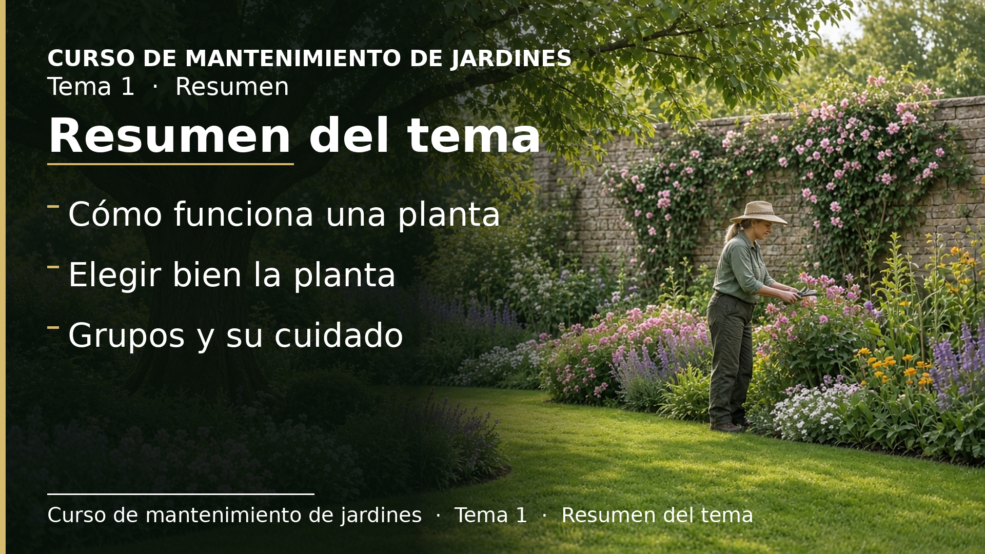 Diapositiva del resumen: Resumen del tema