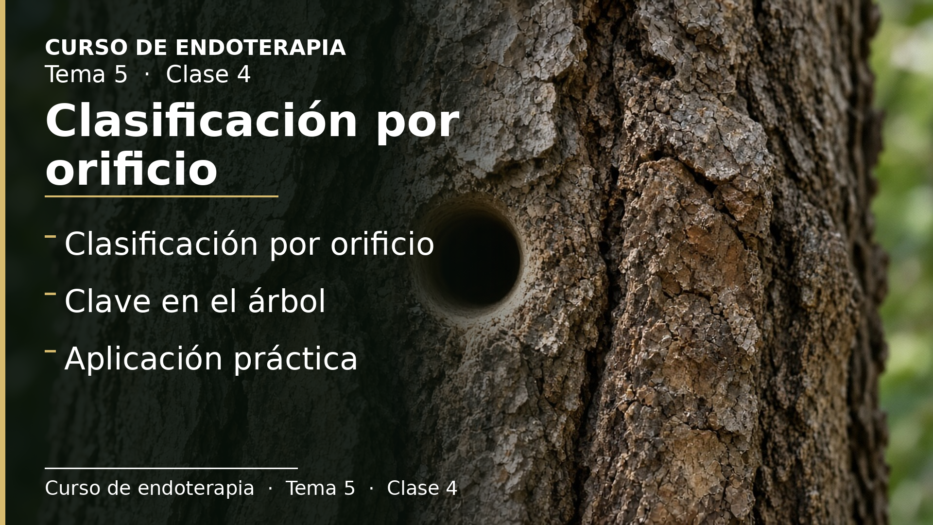 Diapositiva de la clase 4: Clasificación por orificio