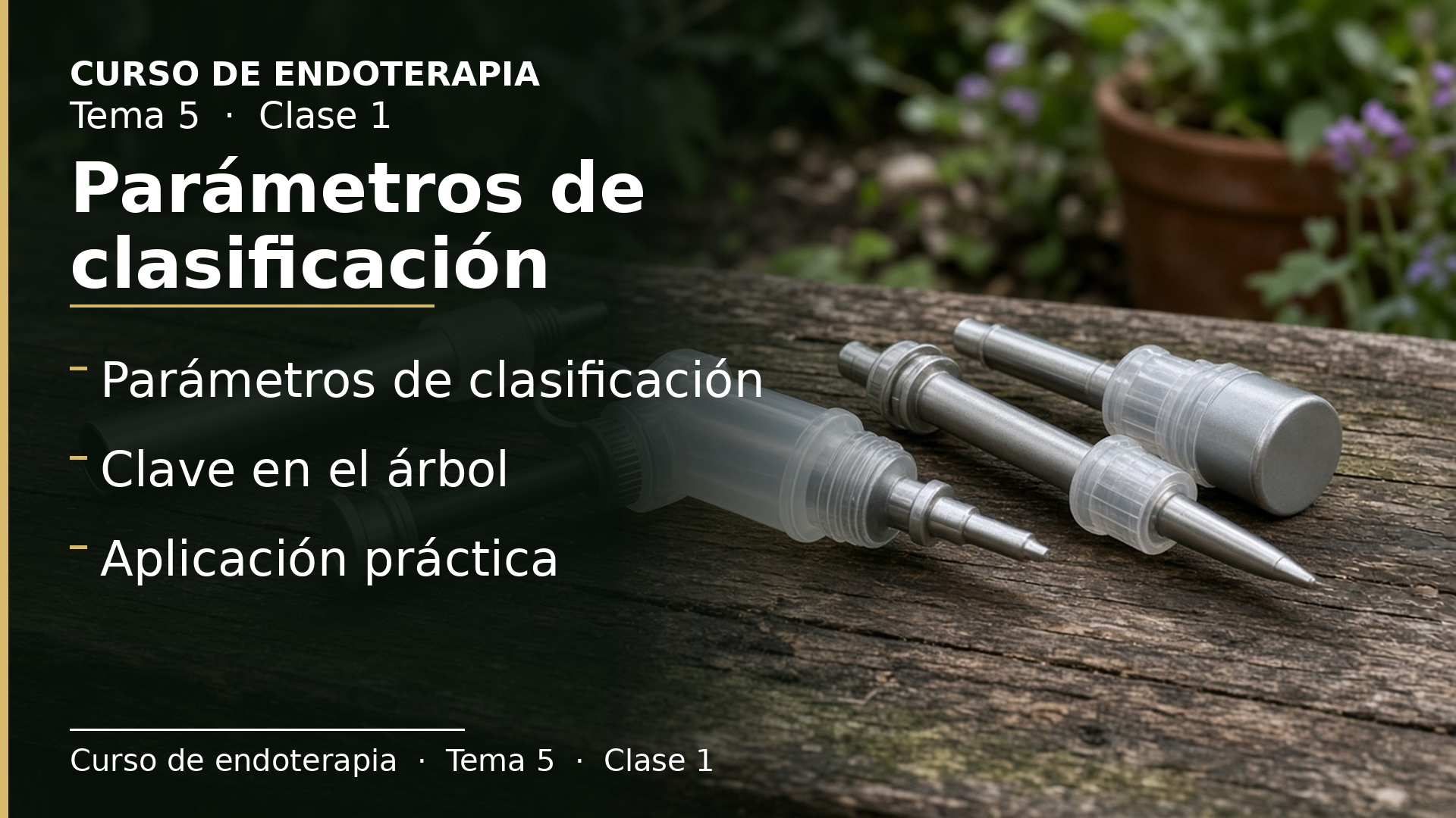 Diapositiva de la clase 1: Parámetros de clasificación
