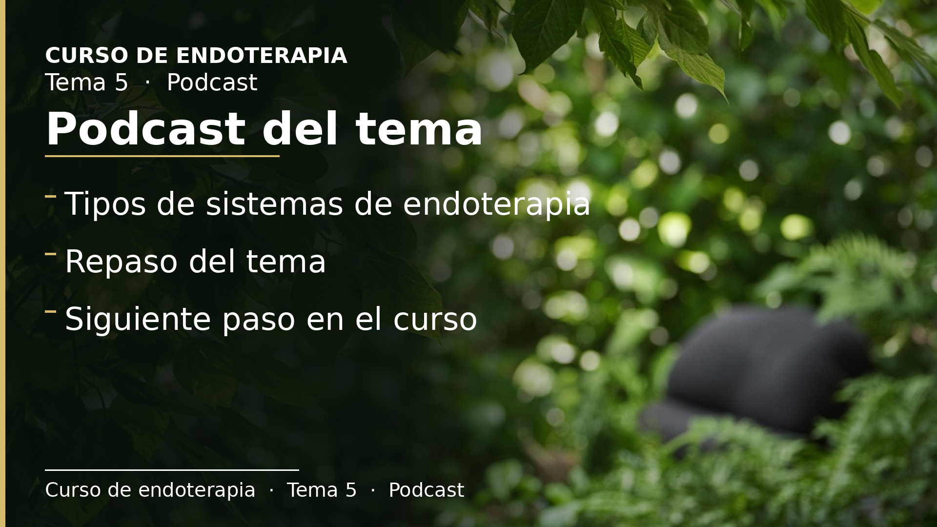 Diapositiva del resumen: Podcast del tema 5 · Tipos de sistemas de endoterapia