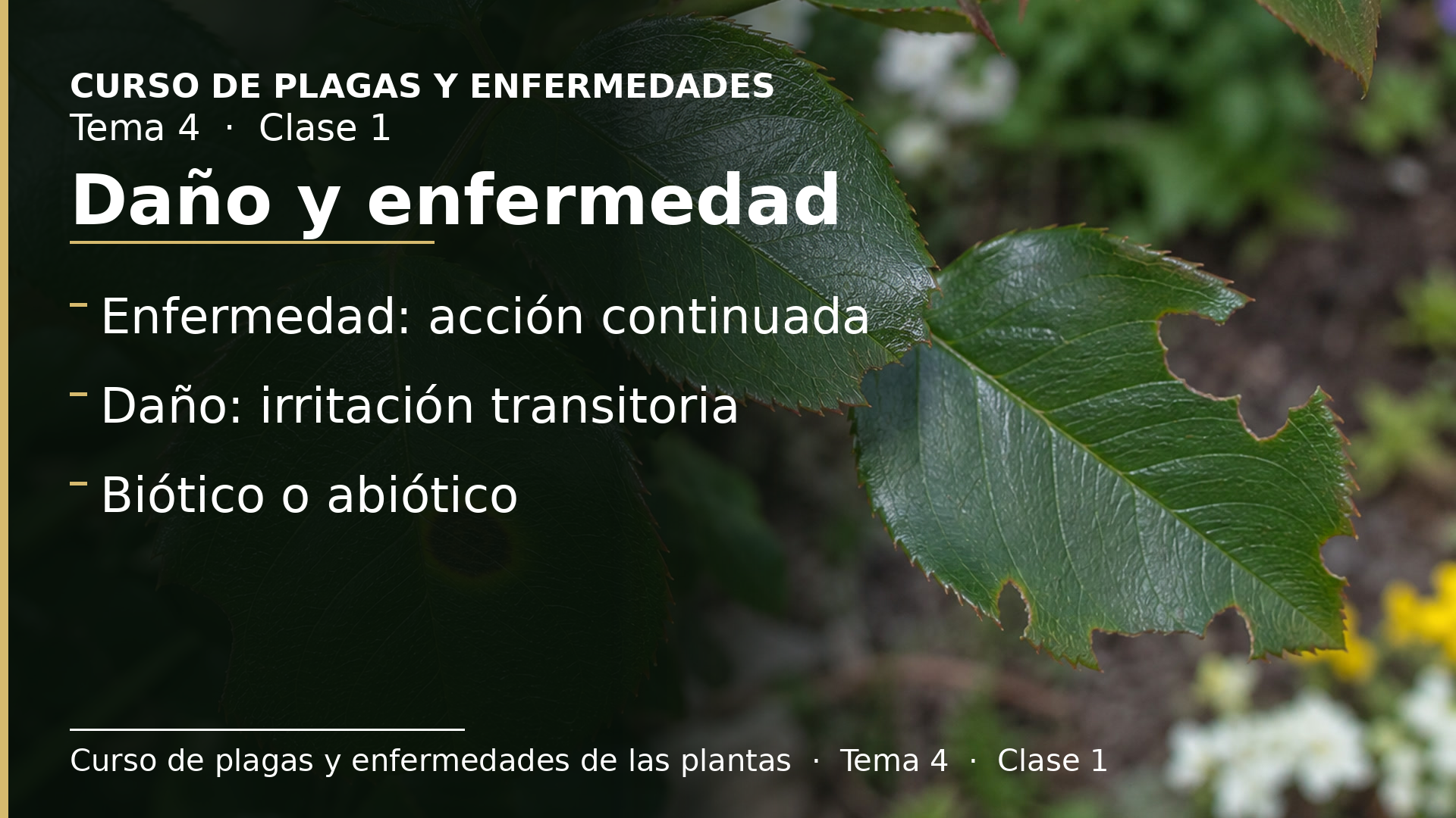 Diapositiva de la clase 1: Concepto de enfermedad. Daño y enfermedad