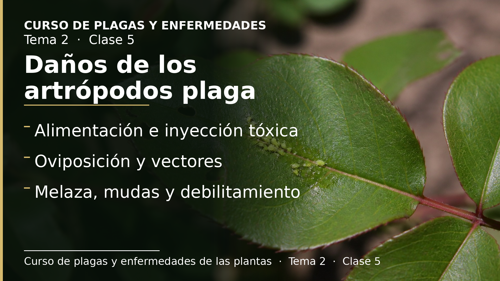 Diapositiva de la clase 5: Daños producidos por artrópodos plaga