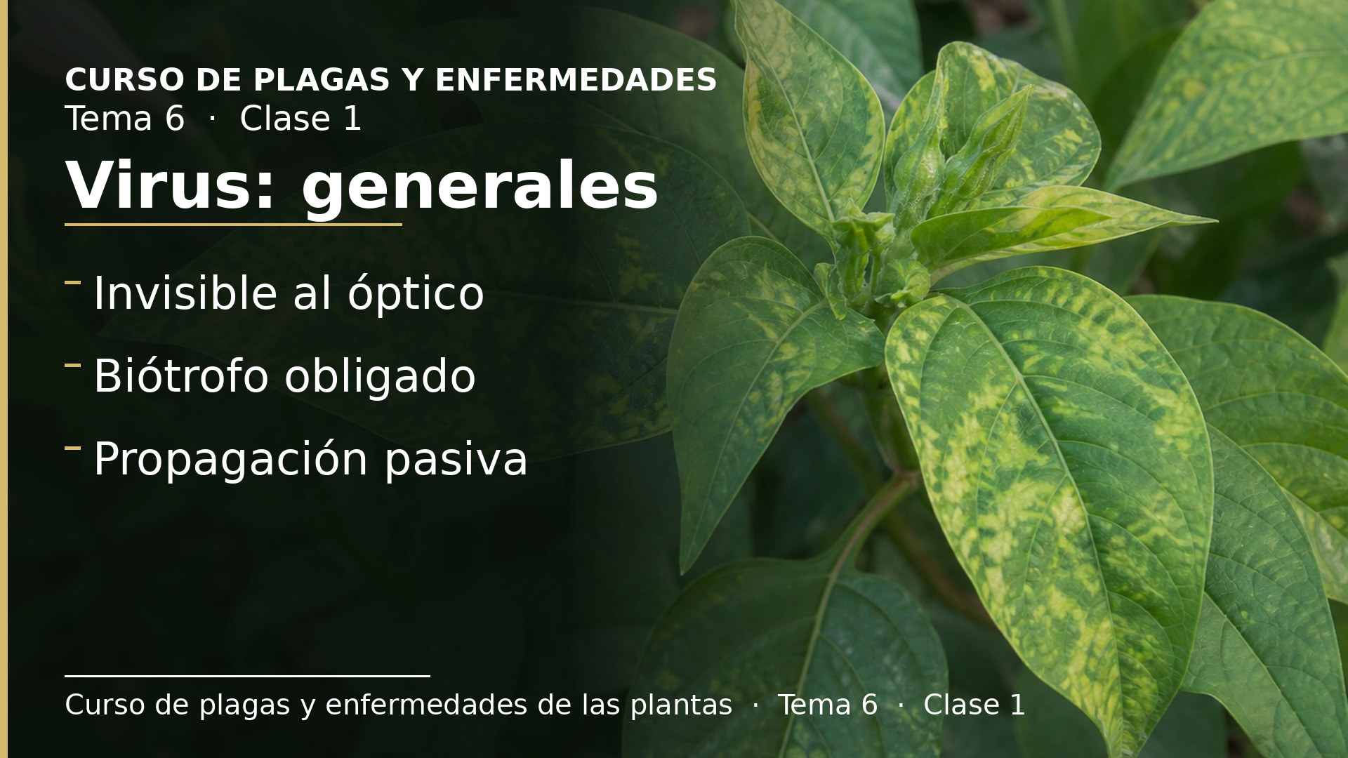 Diapositiva de la clase 1: Características generales de los virus
