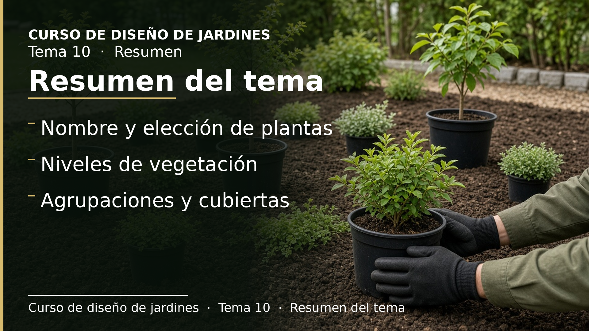 Diapositiva del resumen: Resumen del tema