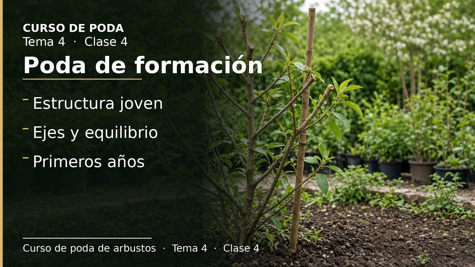 Diapositiva de la clase 4: Poda de formación