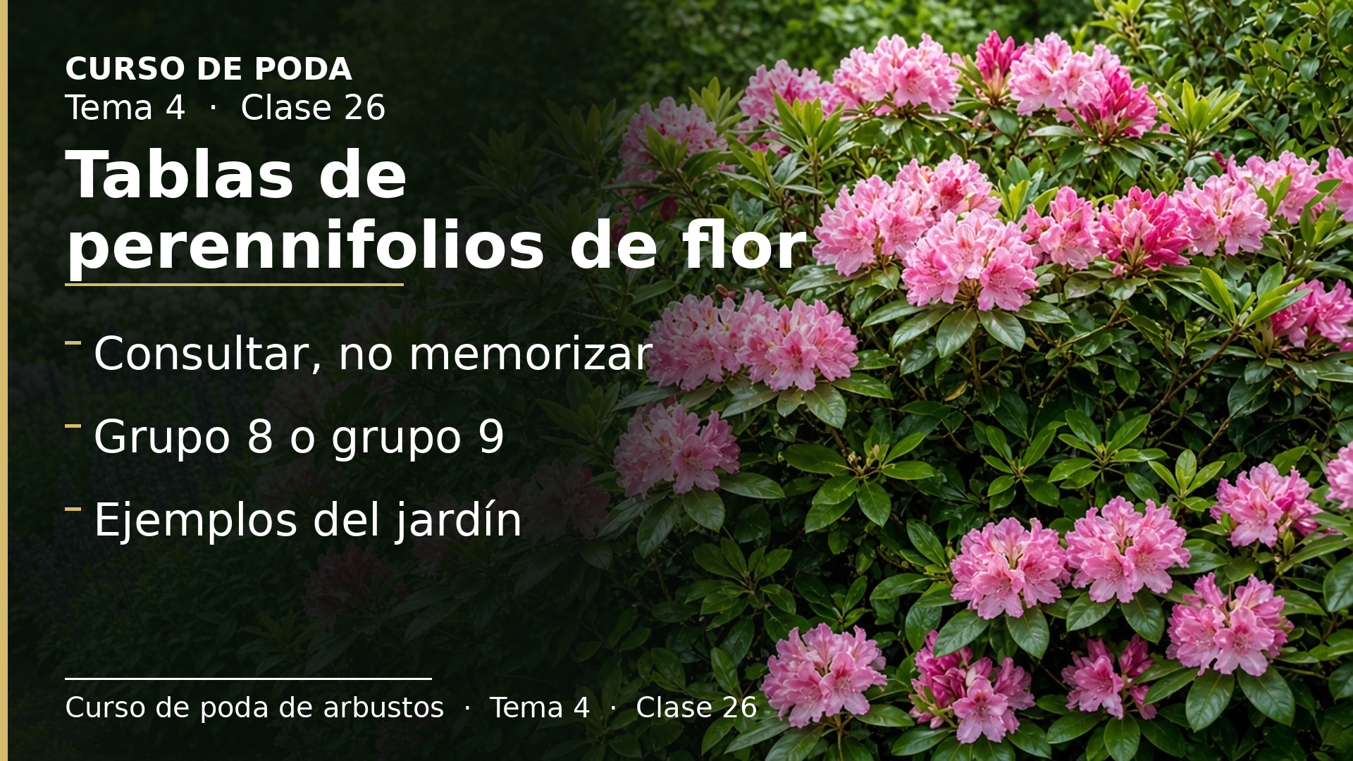 Diapositiva de la clase 26: Tablas de perennifolios de flor