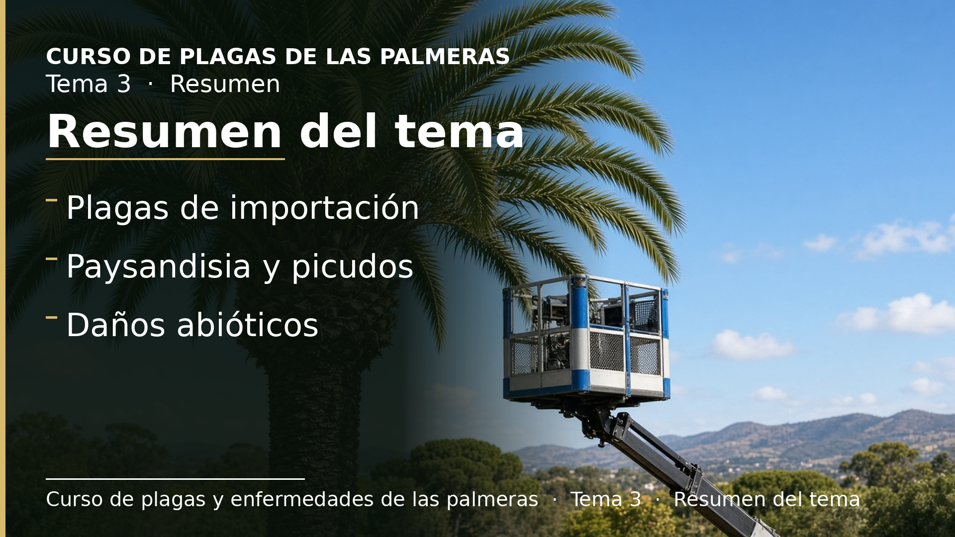 Diapositiva del resumen: Resumen del tema