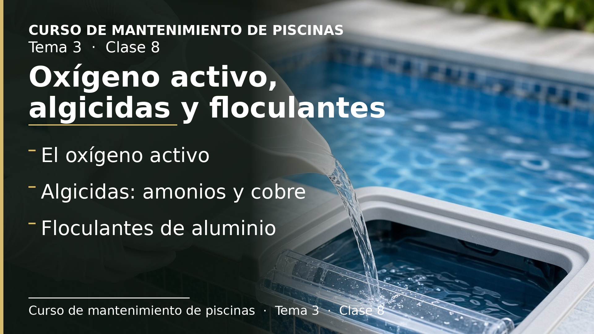 Diapositiva de la clase 8: Oxígeno activo, algicidas y floculantes