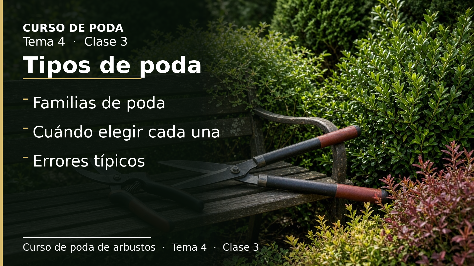 Diapositiva de la clase 3: Tipos de poda