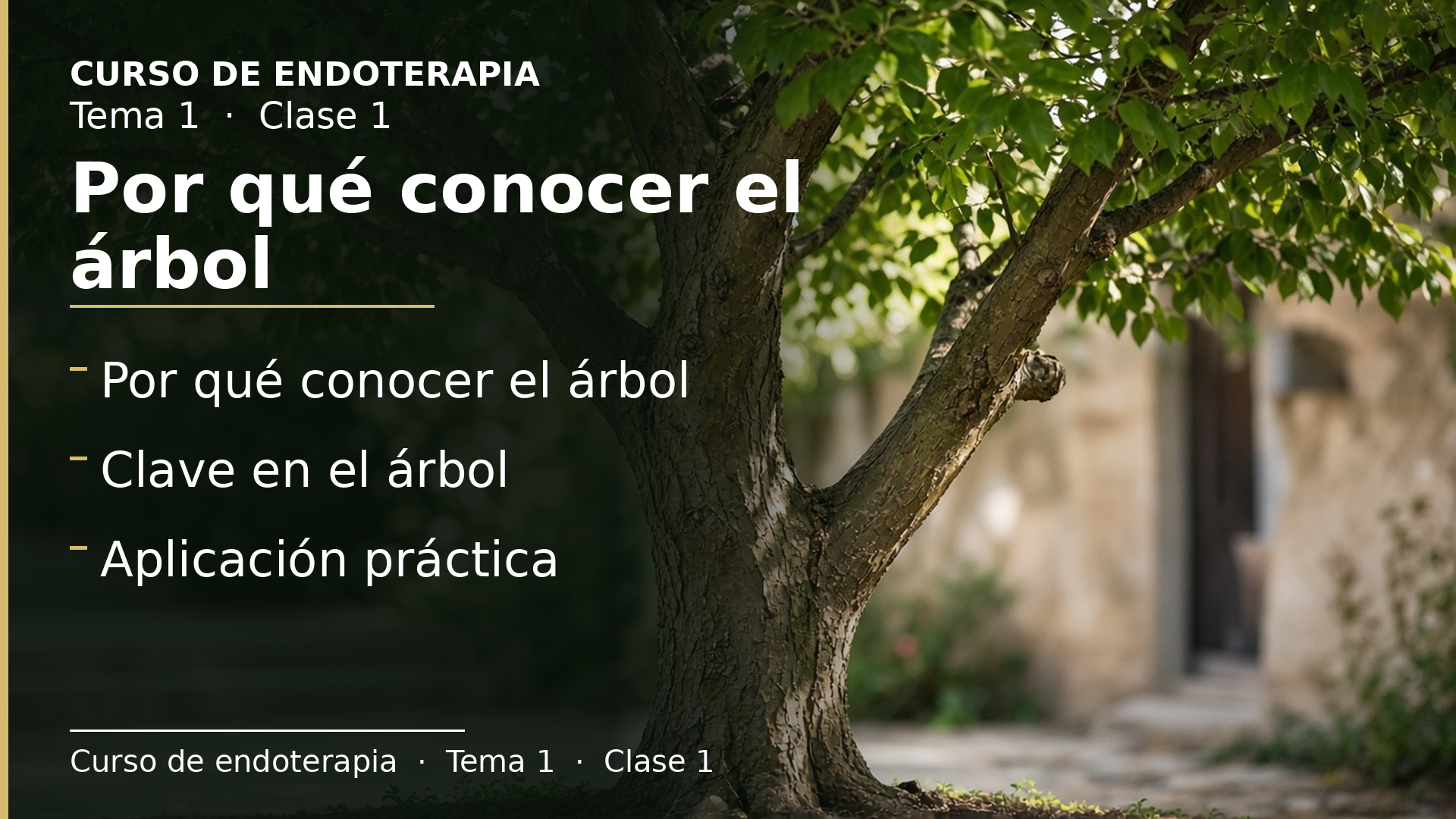Diapositiva de la clase 1: Por qué conocer el árbol
