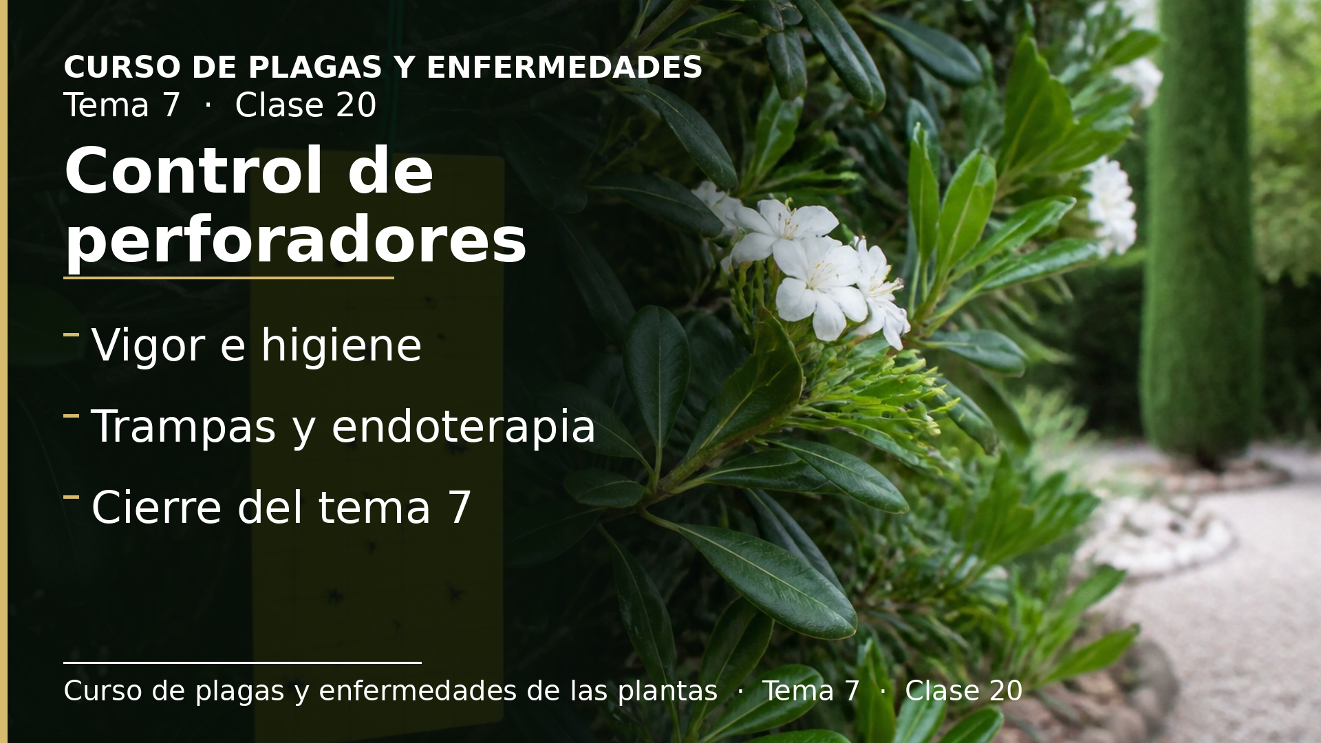 Diapositiva de la clase 20: Control de perforadores