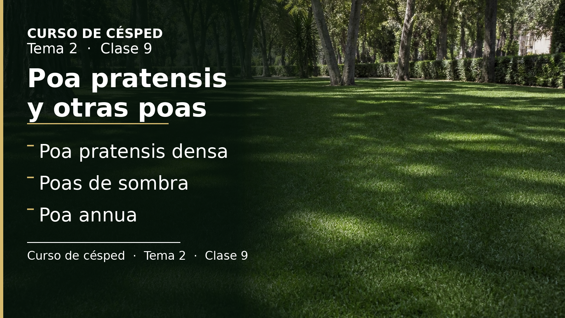 Diapositiva de la clase 9: Poa pratensis, trivialis, nemoralis y annua