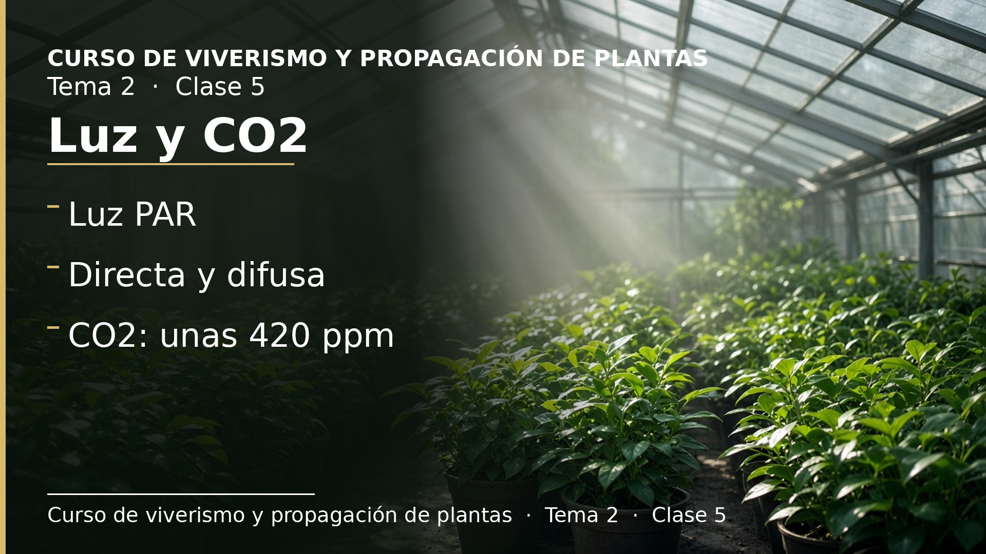 Diapositiva de la clase 5: Luz y CO2