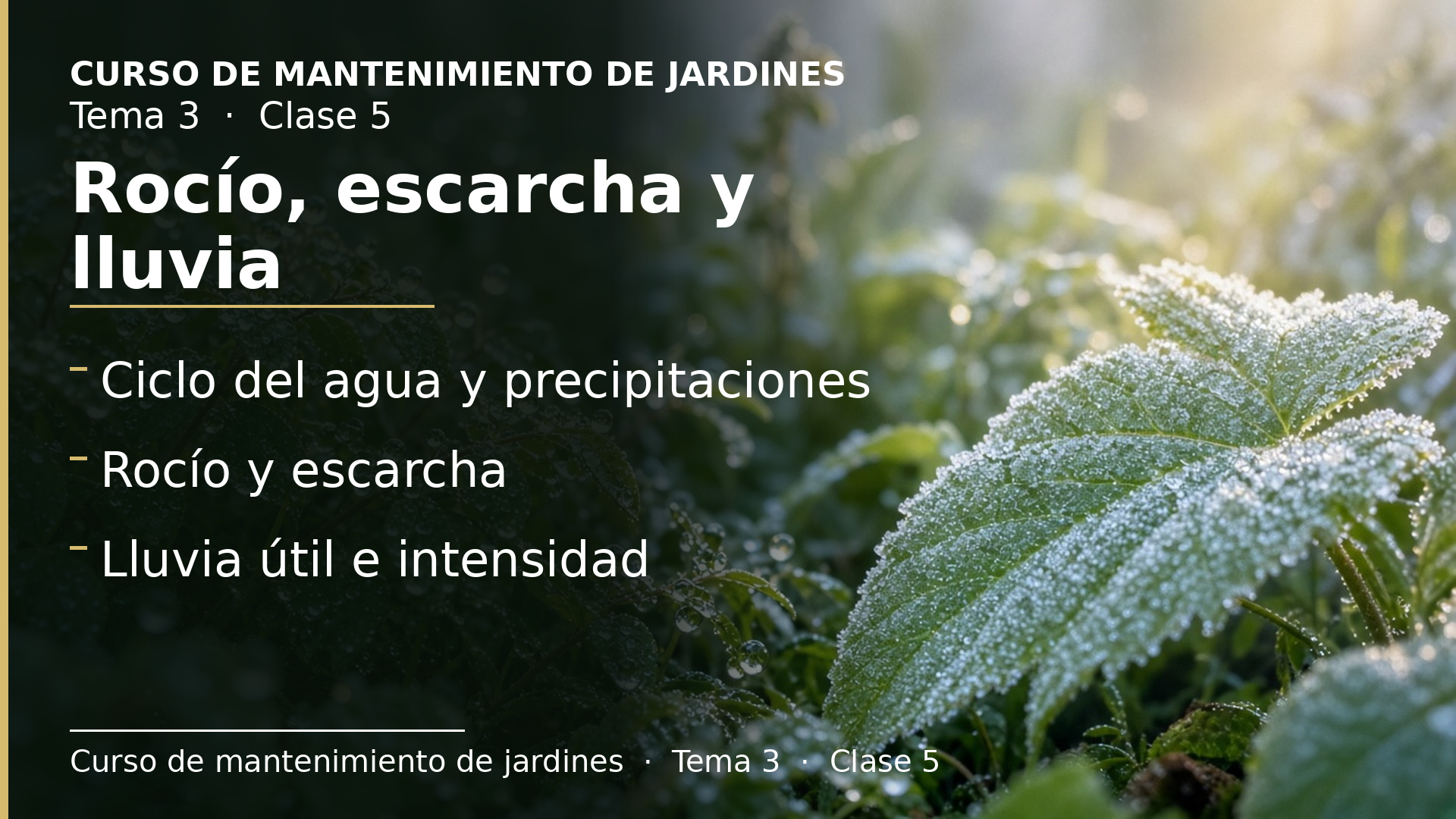 Diapositiva de la clase 5: Rocío, escarcha y lluvia