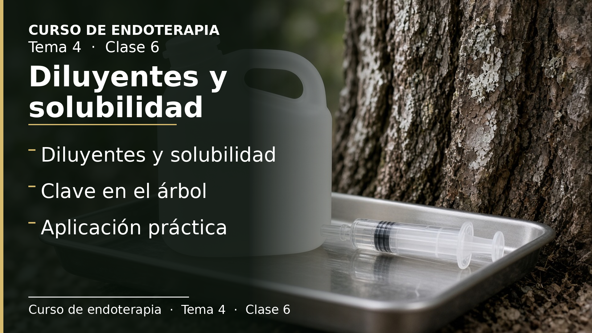 Diapositiva de la clase 6: Diluyentes y solubilidad